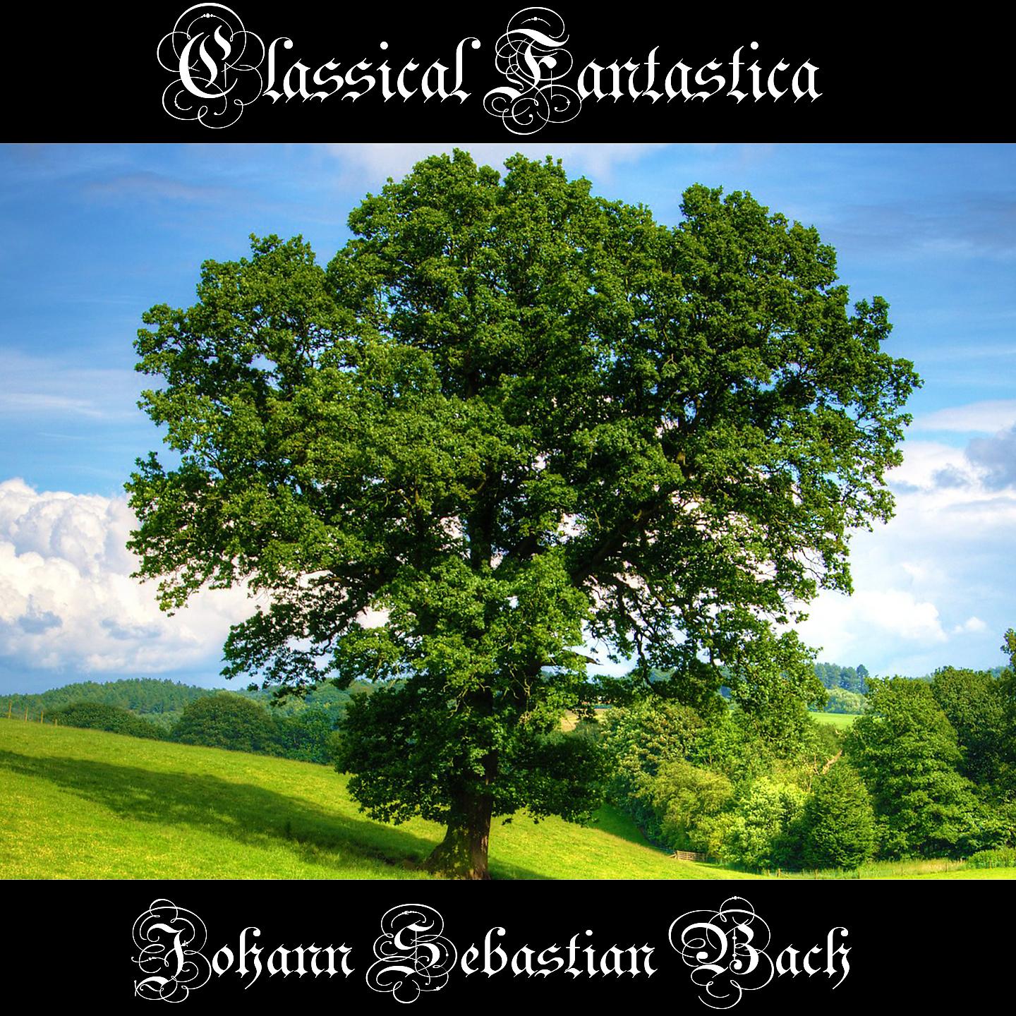 Johann Sebastian Bach - Brandenburg Concerto No- 6 in B-Flat Major, BWV 1051 II- Andante