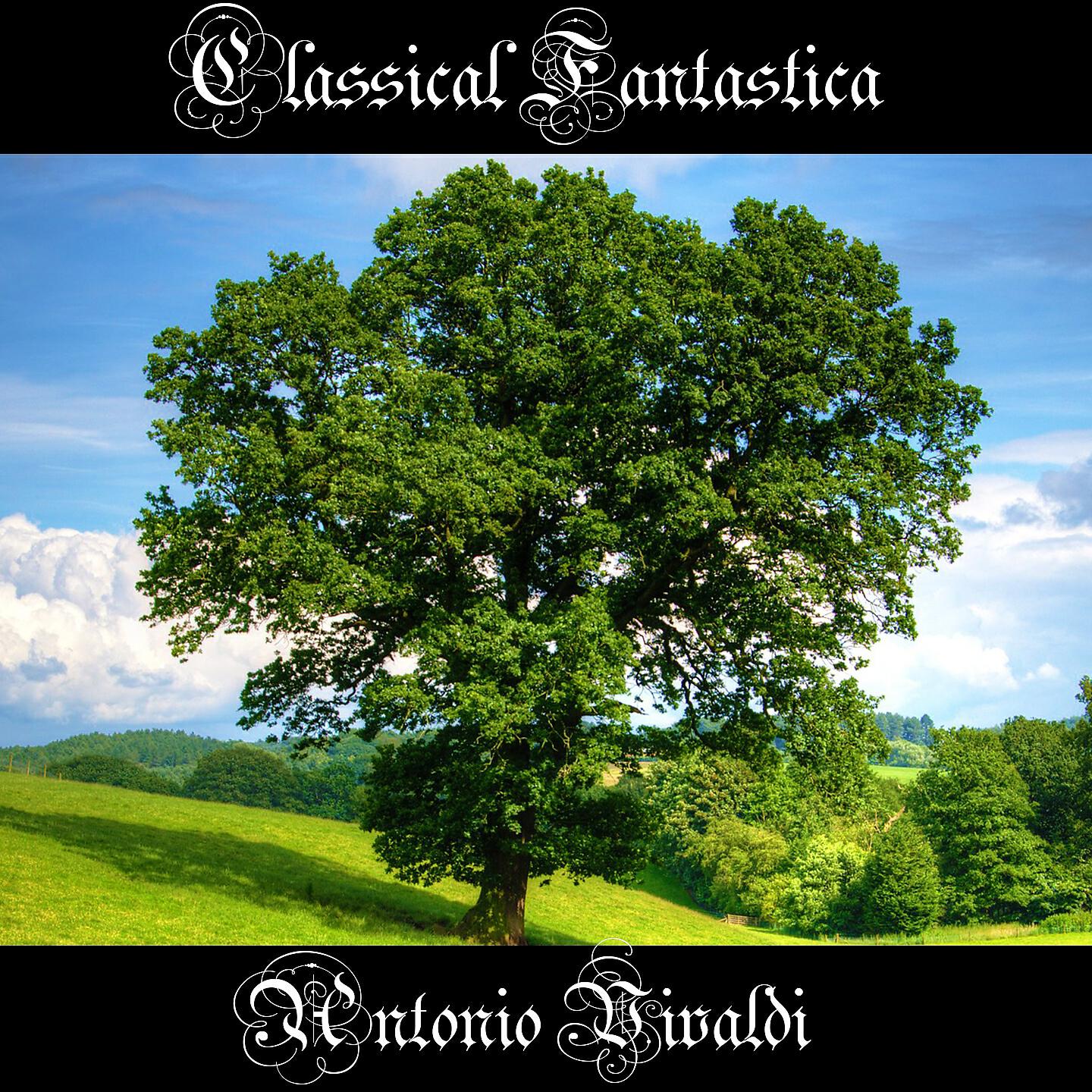 Antonio Vivaldi - Concerto in B-Flat Major, Op- 4, RV 383 II- Largo