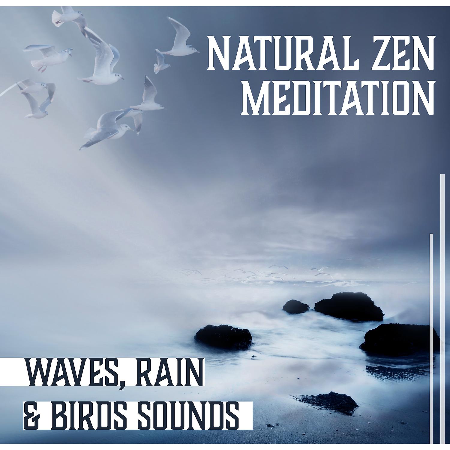 Постер альбома Natural Zen Meditation: Waves, Rain & Birds Sounds, Natural Wonder, Inner Peace, Yoga, Reiki, Chakra Balancing Waves