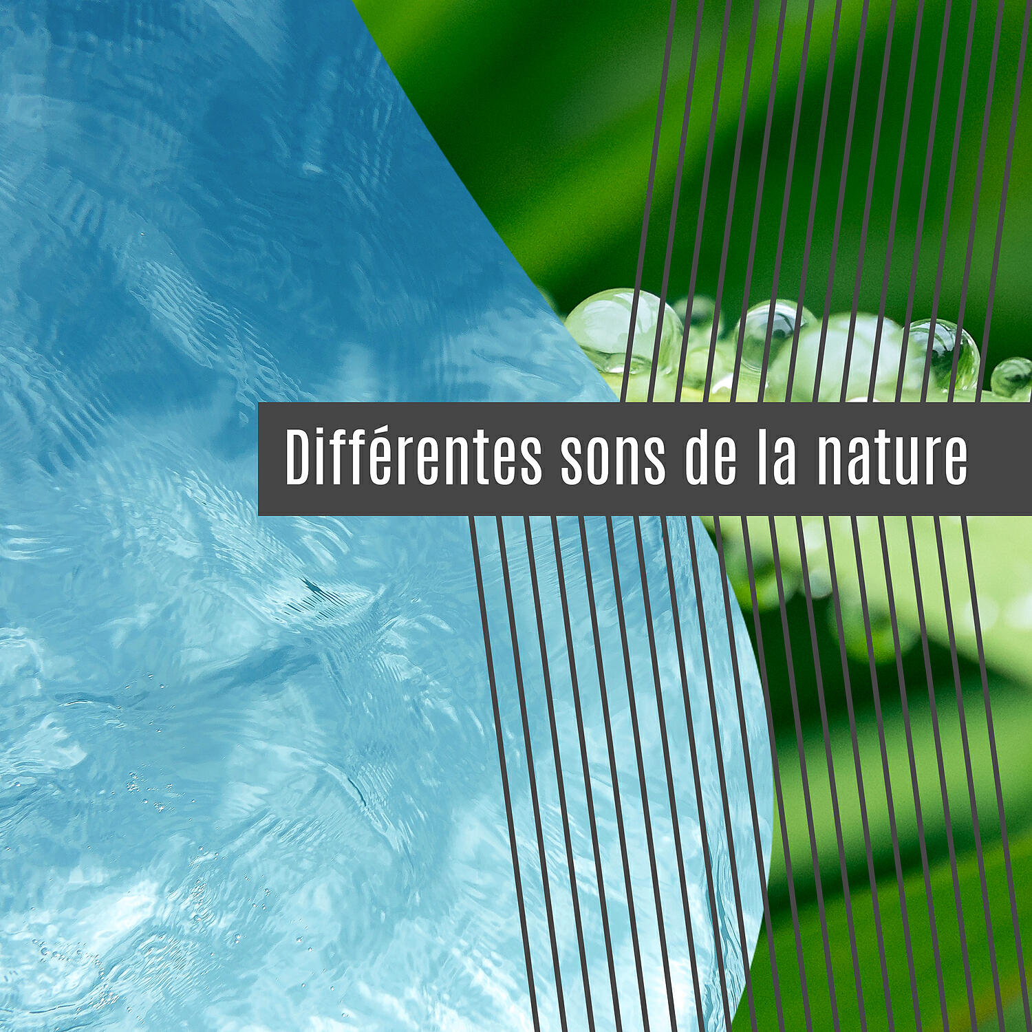Vert Malachite - Signe