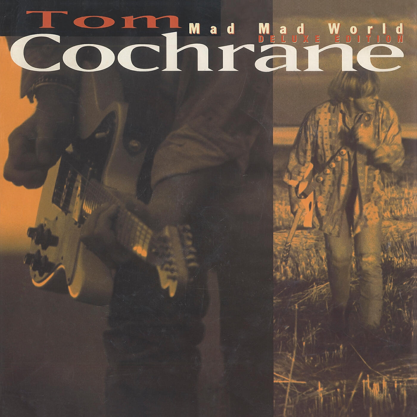 Tom Cochrane - Sinking Like A Sunset (Live)