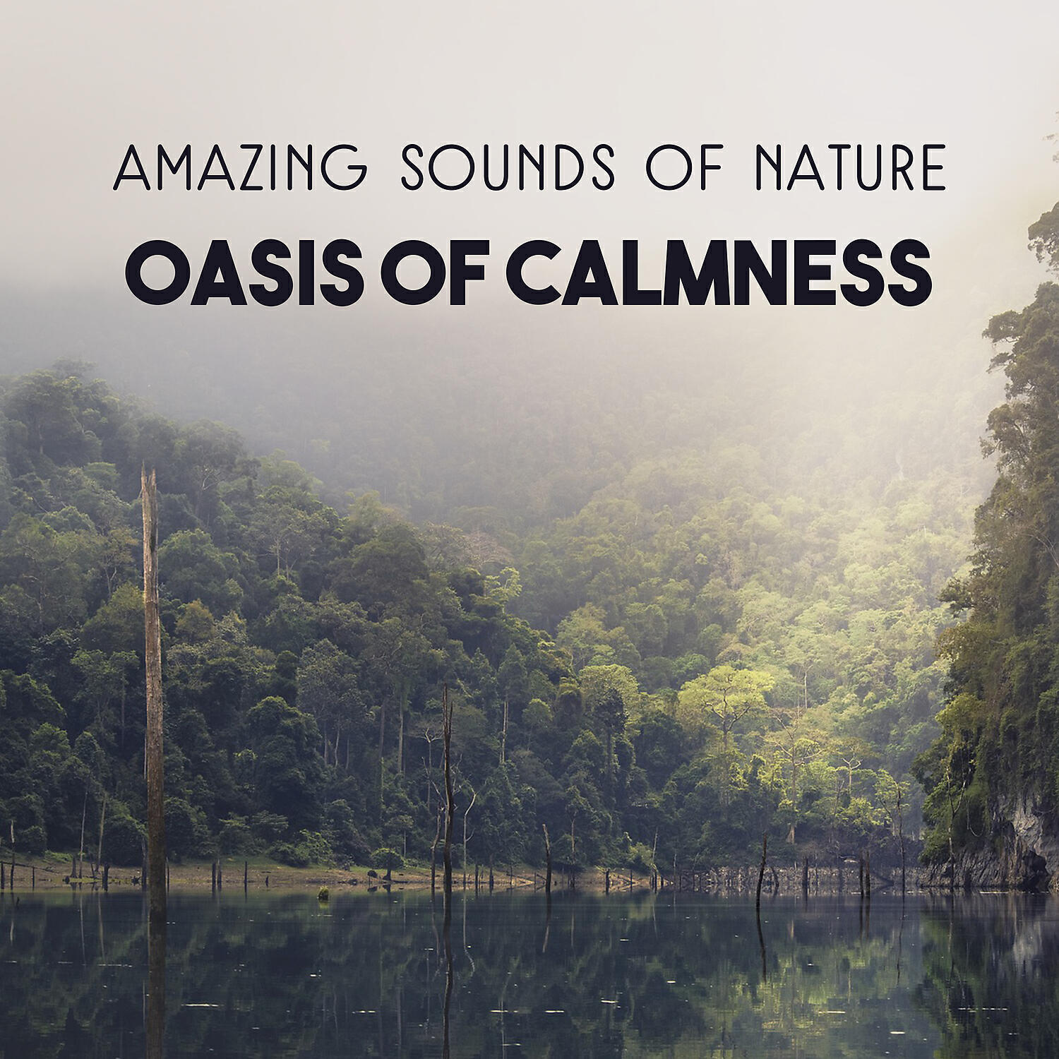 Nature Music Sanctuary - Discover the Wealth of Blue Ocean
