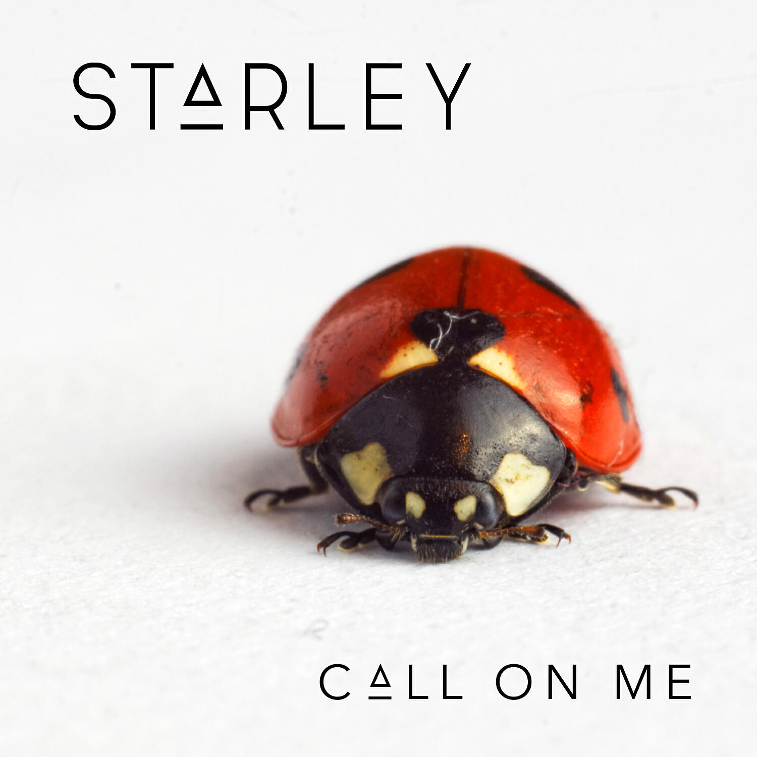 STARLEY - Call on Me (Acoustic)