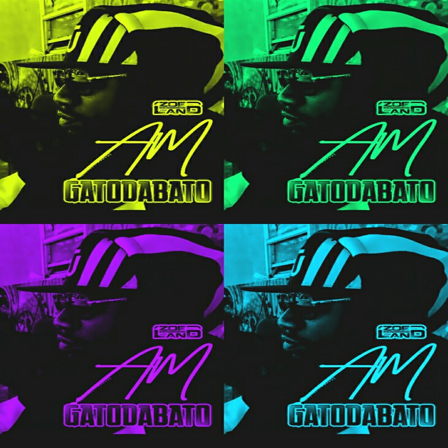 Gato - A.M.