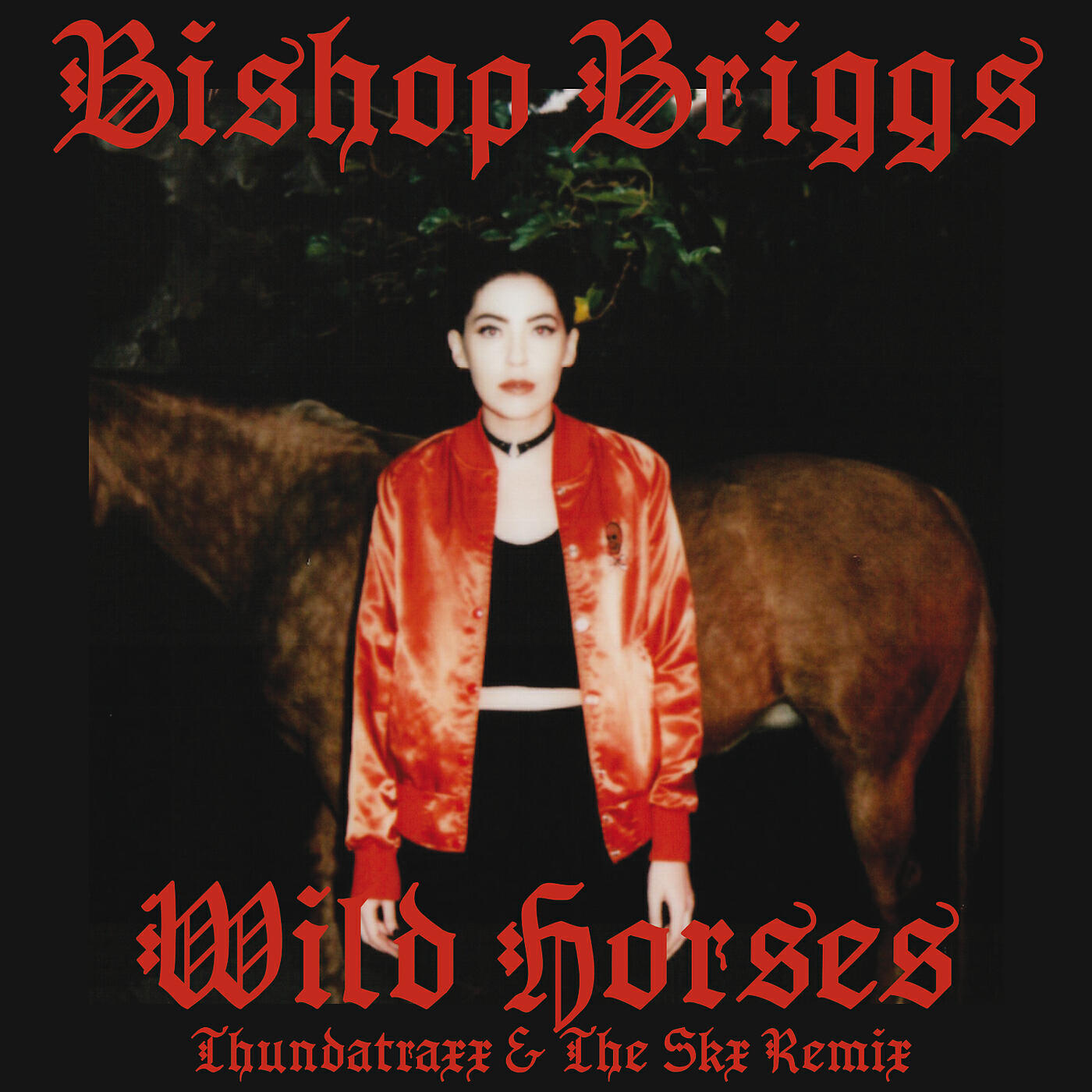 Bishop Briggs - Wild Horses (Thundatraxx & The SKX Remix)