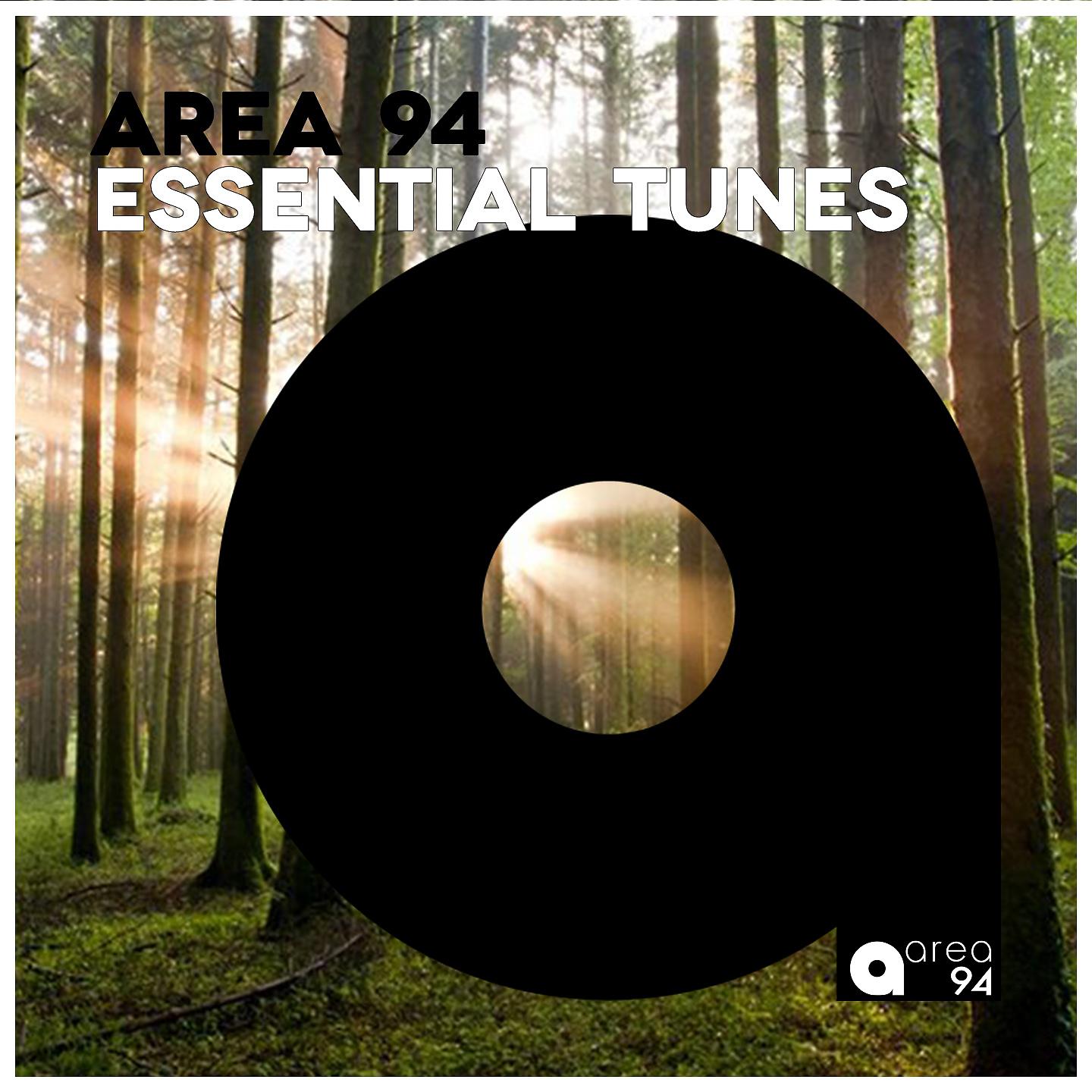 Постер альбома Area 94 Essential Tunes