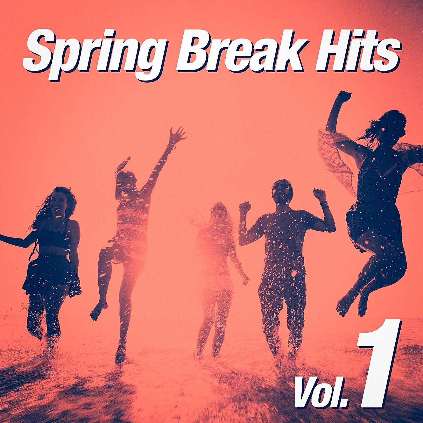 Spring Break Party Hits - Party Rock Anthem