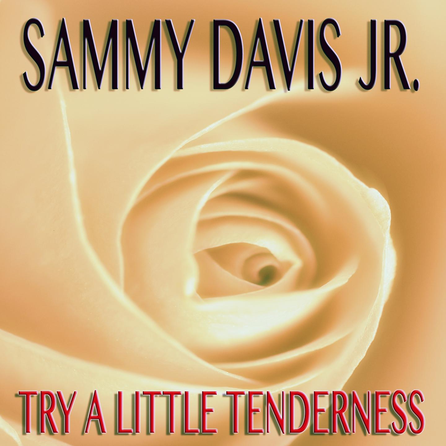 Постер альбома Try a Little Tenderness