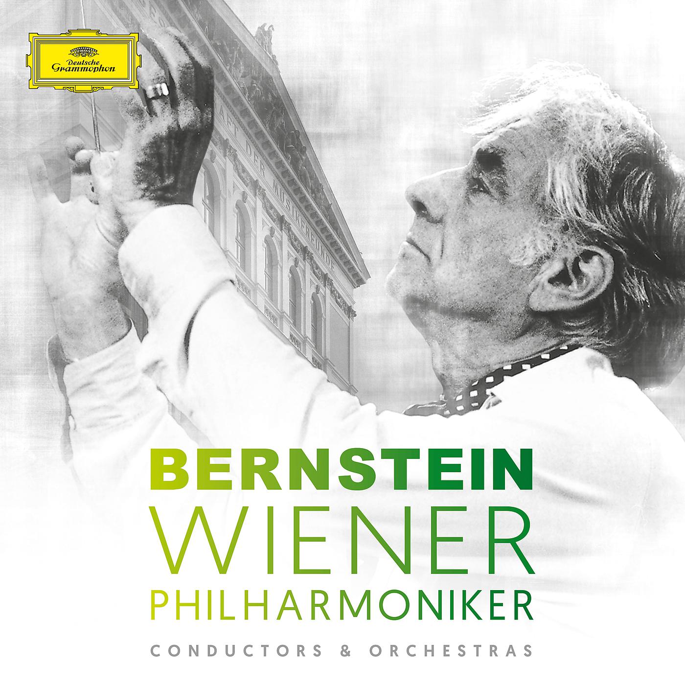 Постер альбома Leonard Bernstein & Wiener Philharmoniker