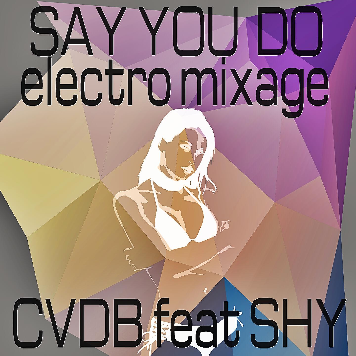 CVDB - Say You Do (Electro Mixage)