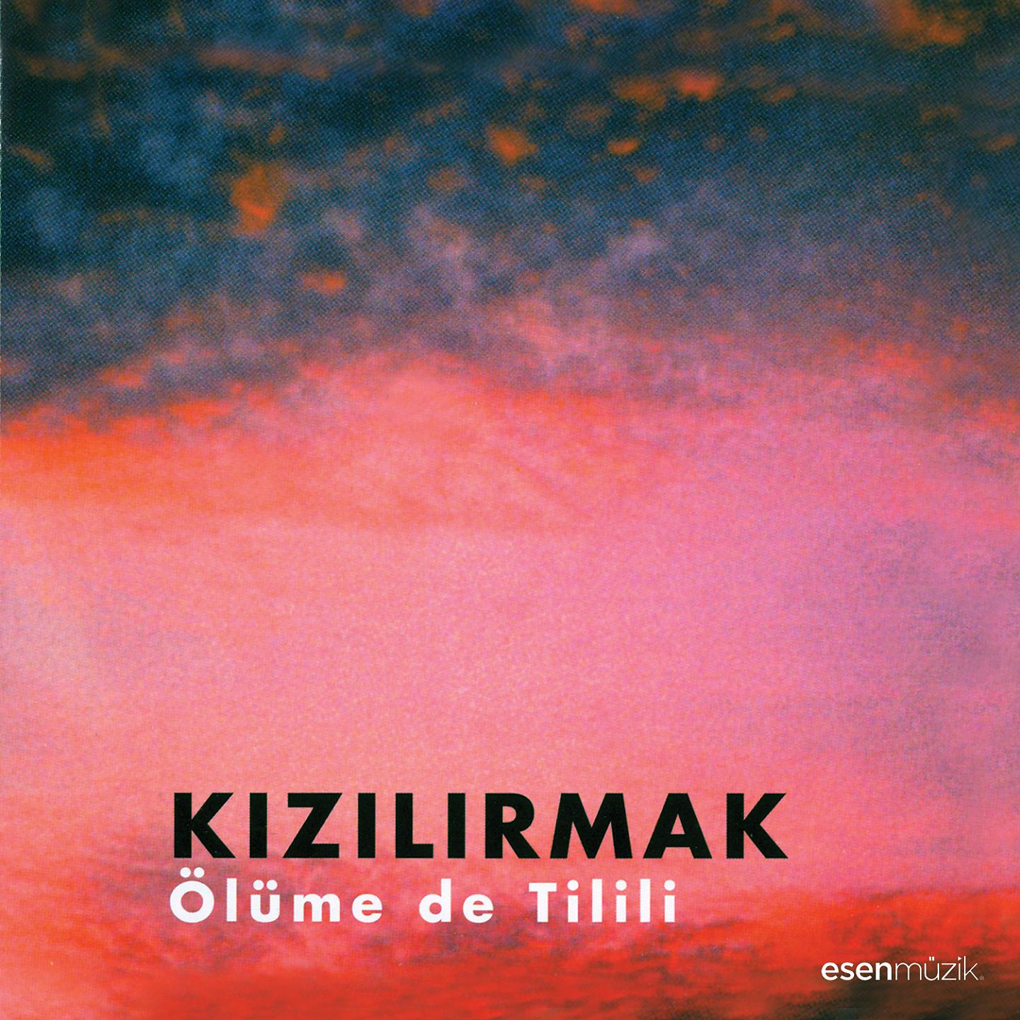 Постер альбома Ölüme de Tilili