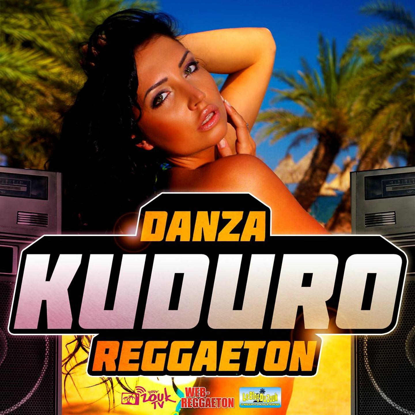 Постер альбома Danza Kuduro Reggaeton