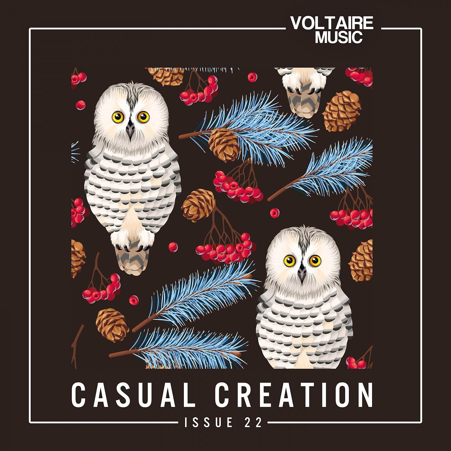 Постер альбома Casual Creation Issue 22