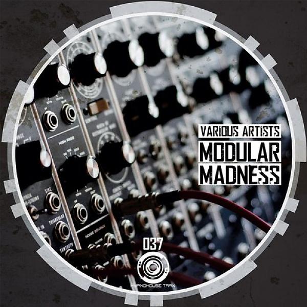 Постер альбома Modular Madness E.P
