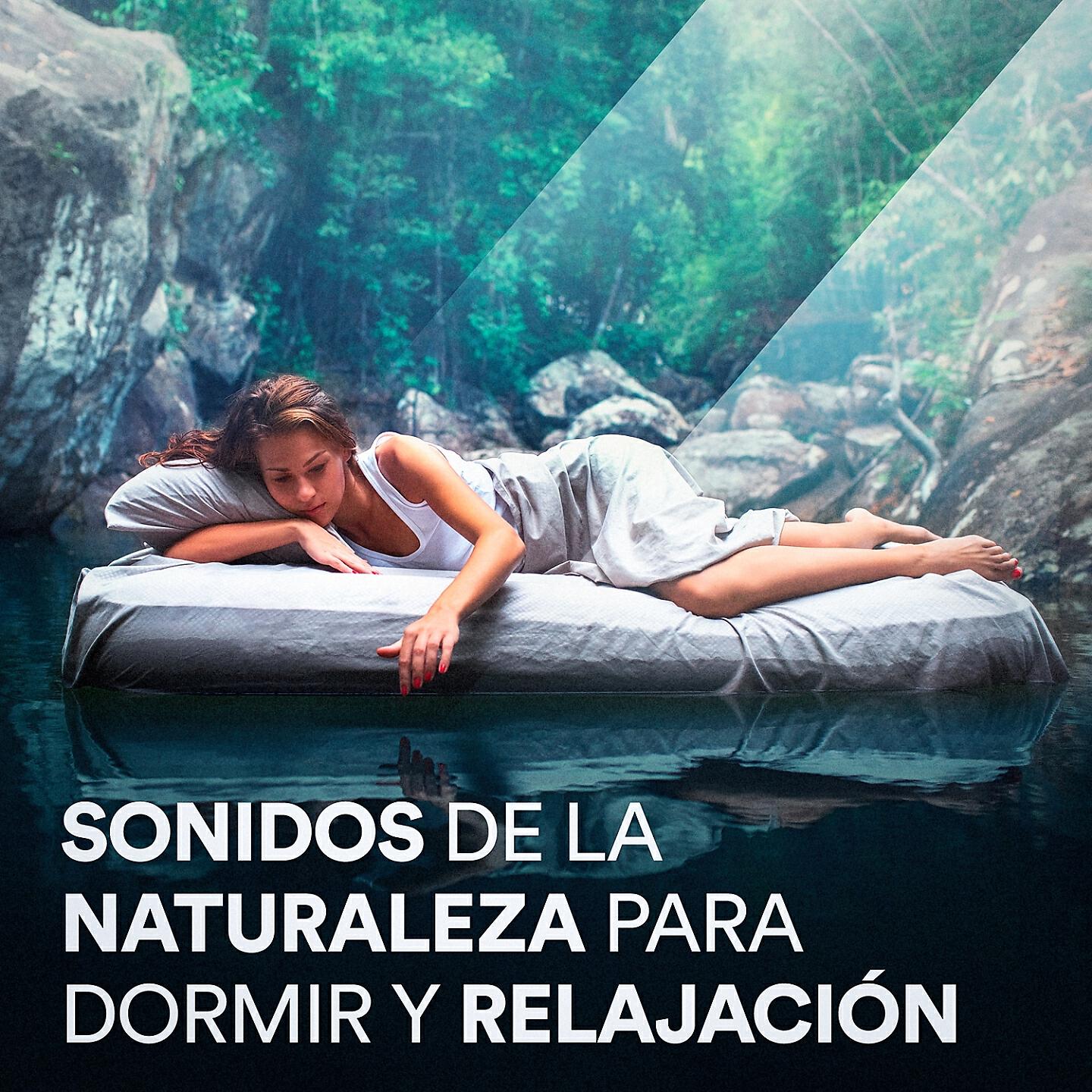 Michael Hamilton - Después de la Tormenta