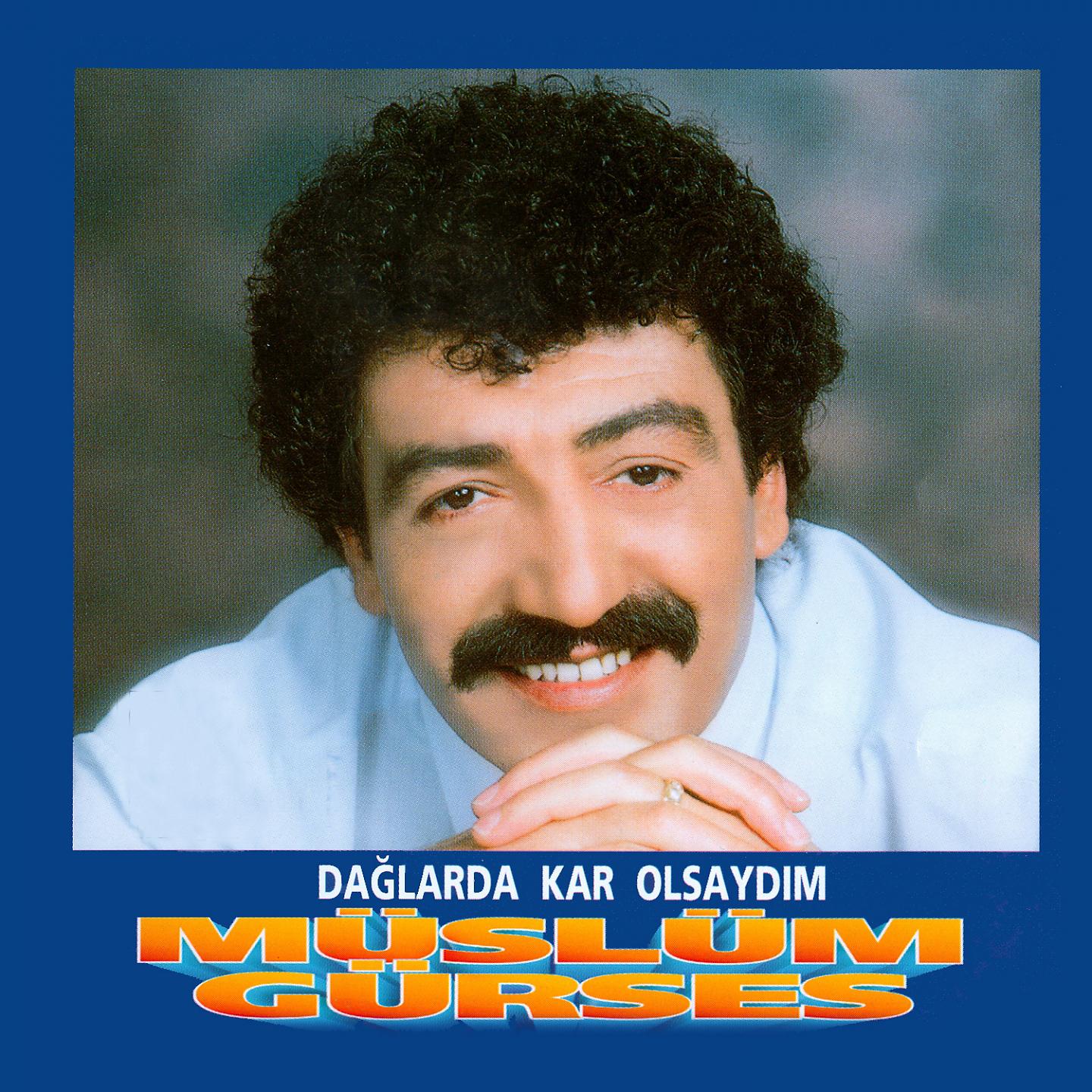 Постер альбома Dağlarda Kar Olsaydım