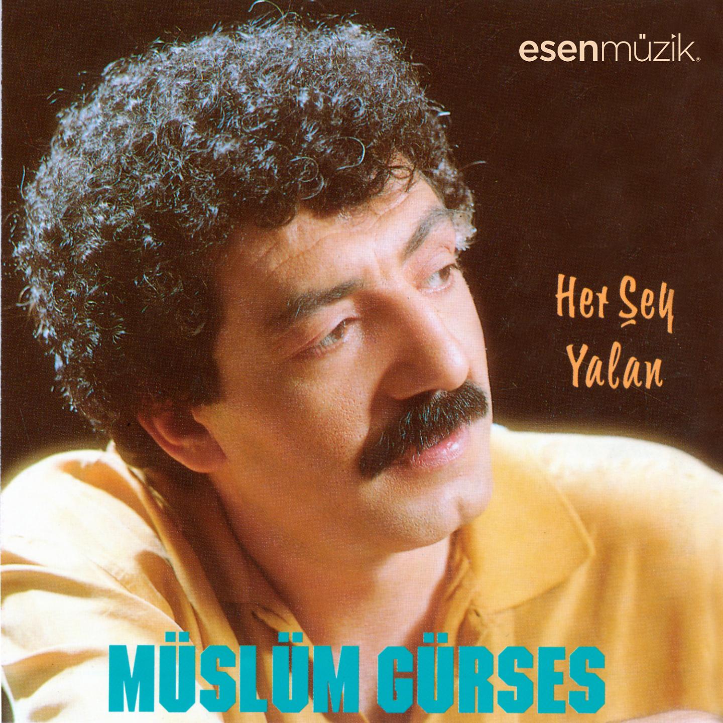 Постер альбома Her Şey Yalan