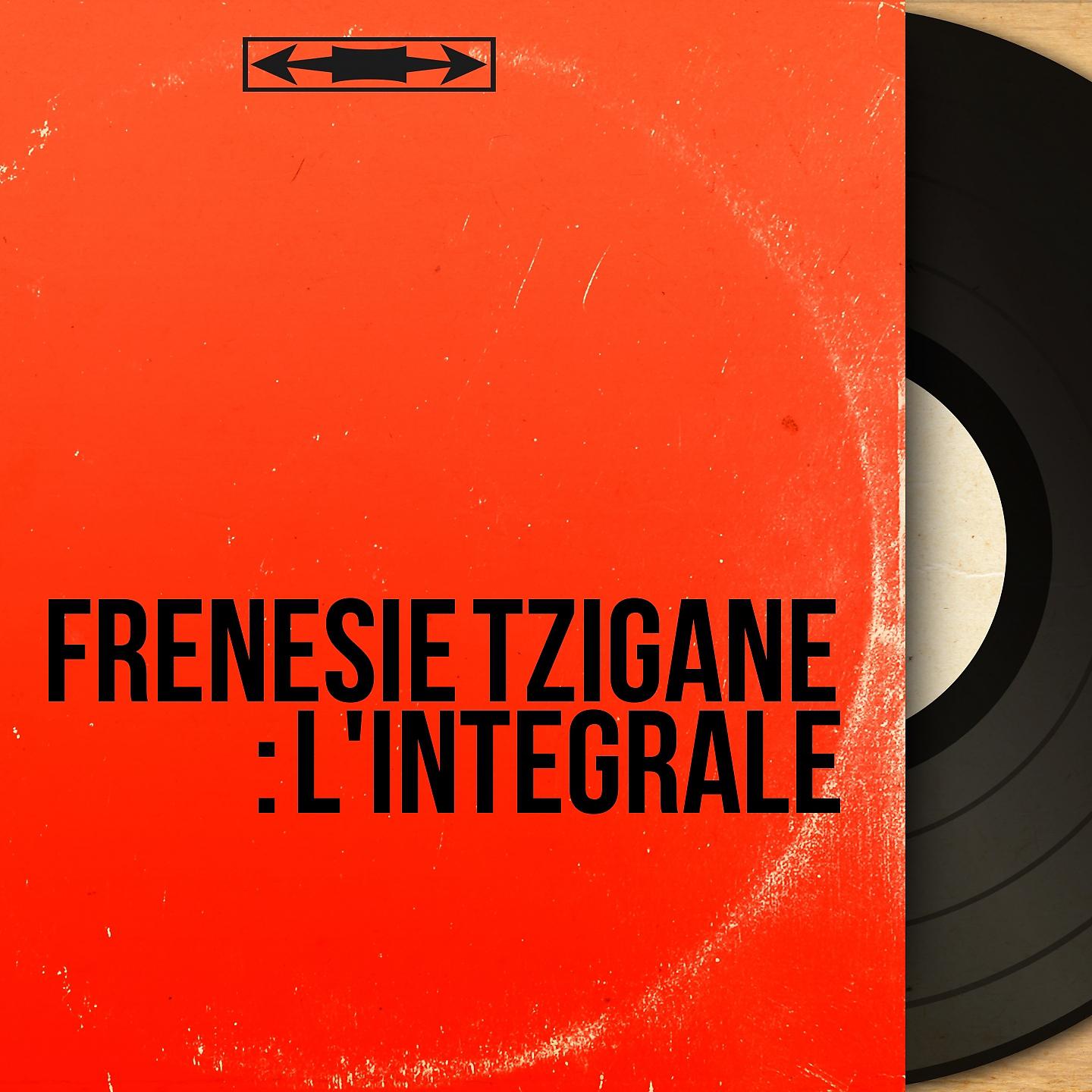 Постер альбома Frénésie tzigane : l'intégrale