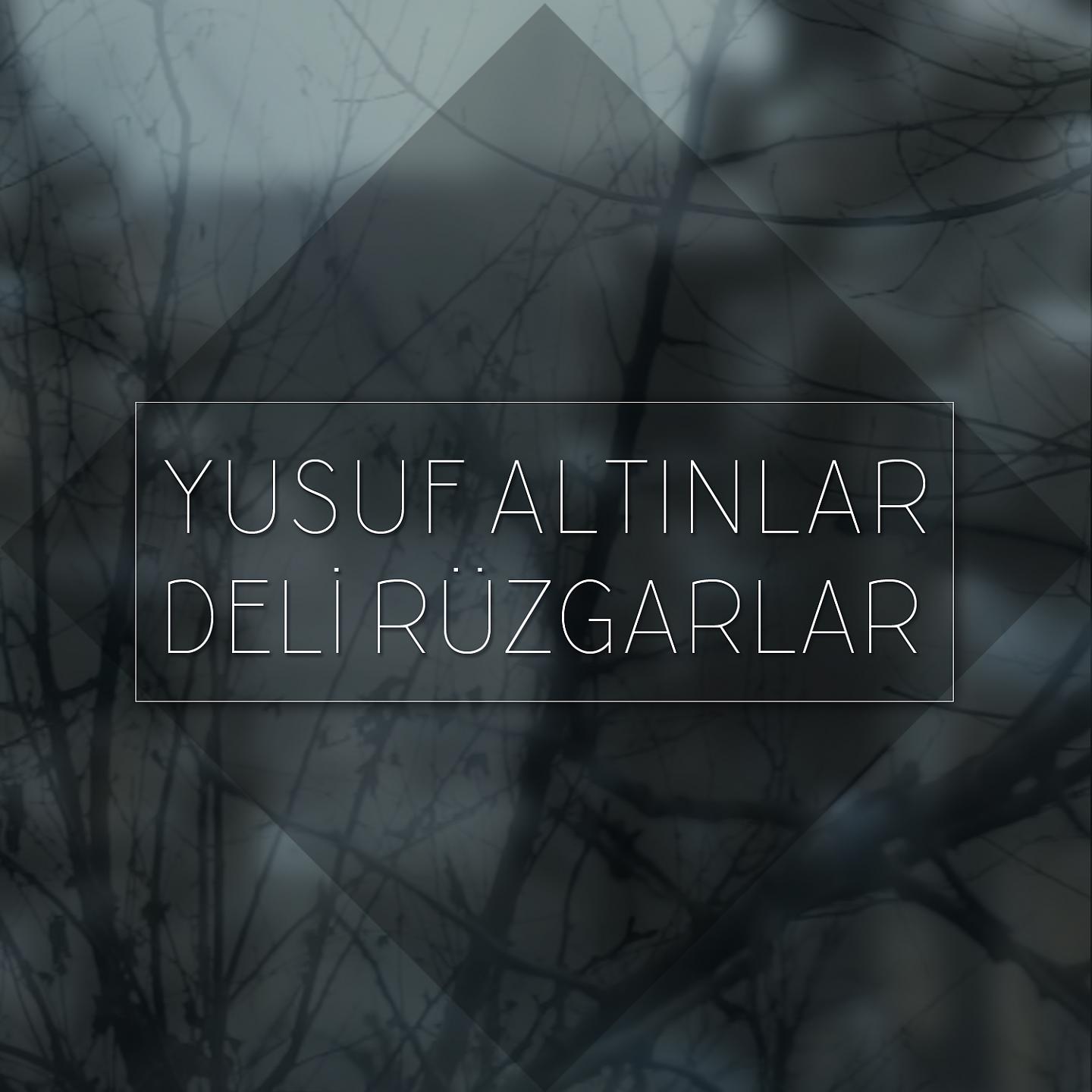 Постер альбома Deli Rüzgarlar