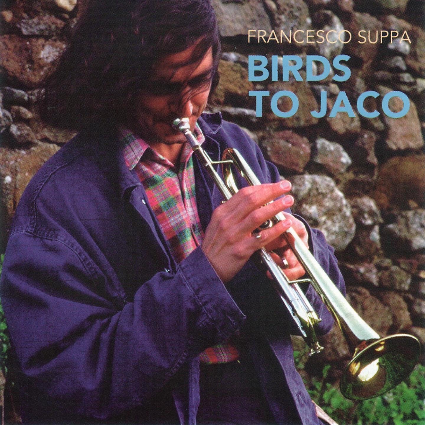 Francesco Suppa - Dedicato a pastorius (Original Version)