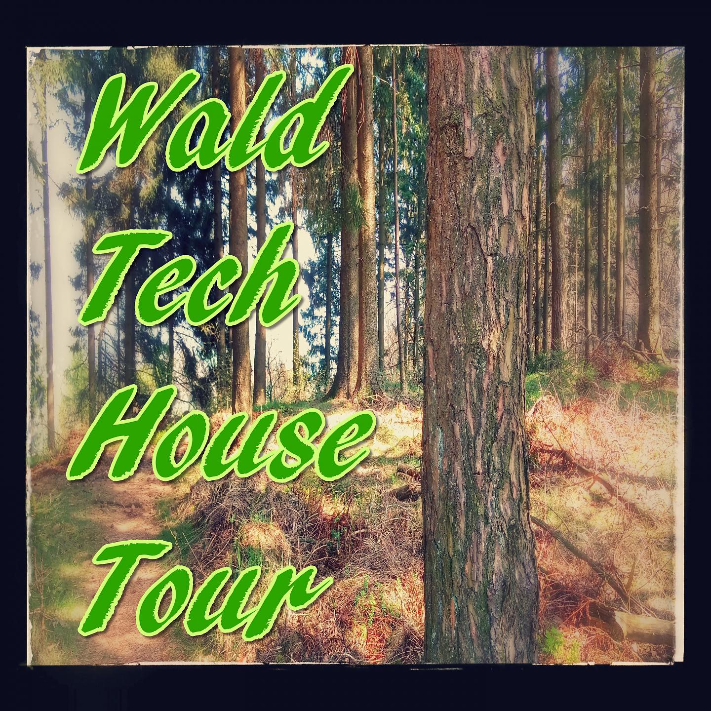 Постер альбома Wald Tech House Tour