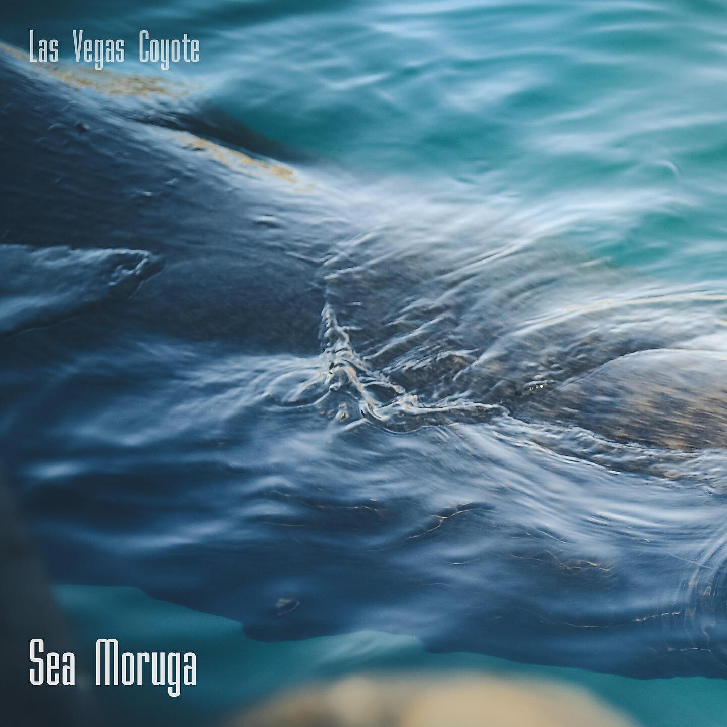 Las Vegas Coyote - A Lost Horizon