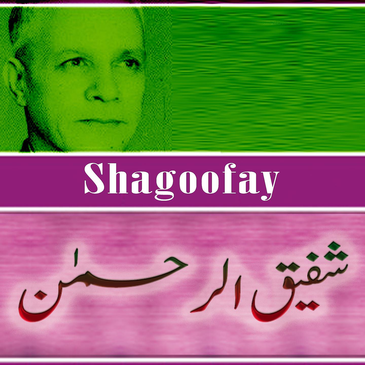 Постер альбома Shagoofay