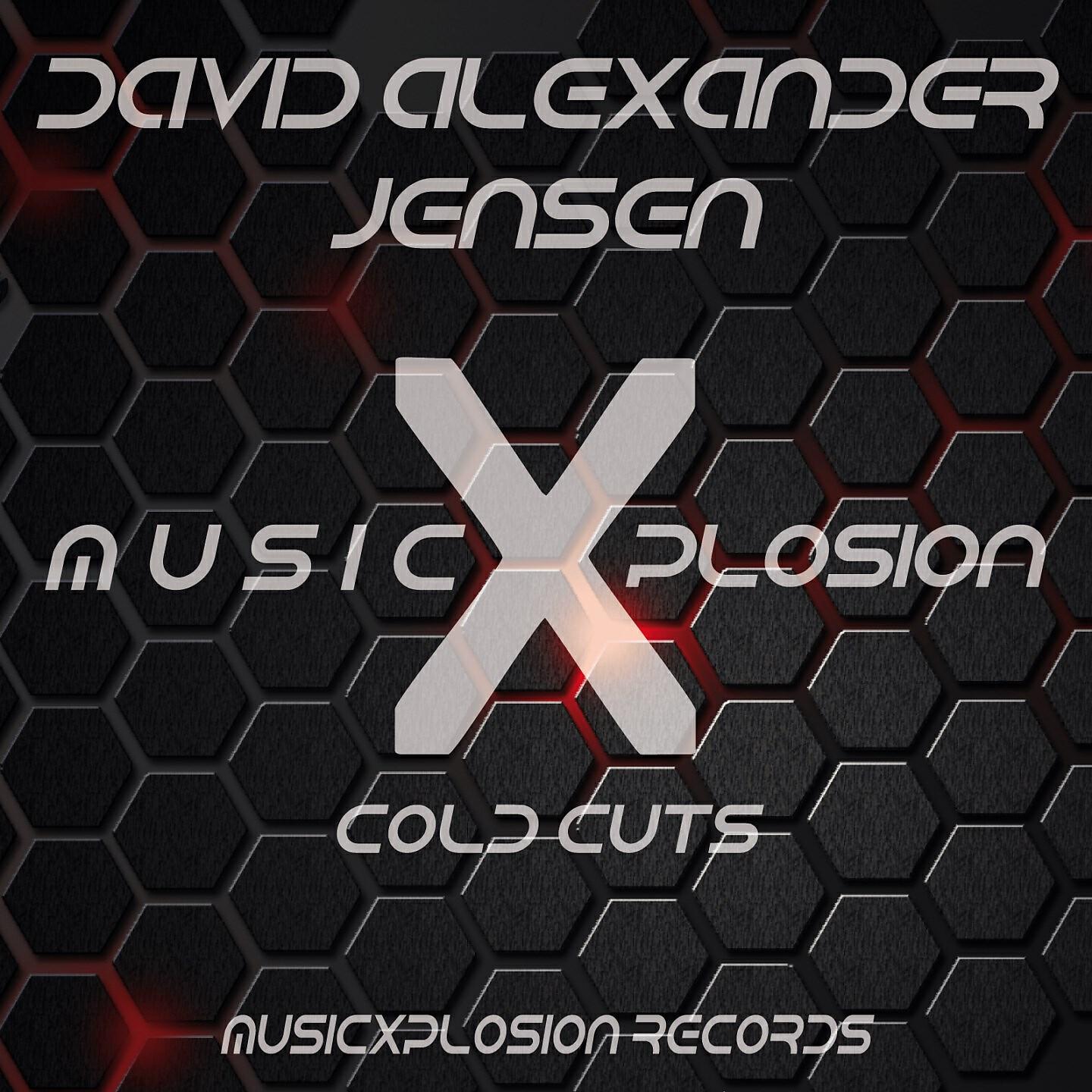 David Alexander Jensen - Cold Cuts (Original Mix)