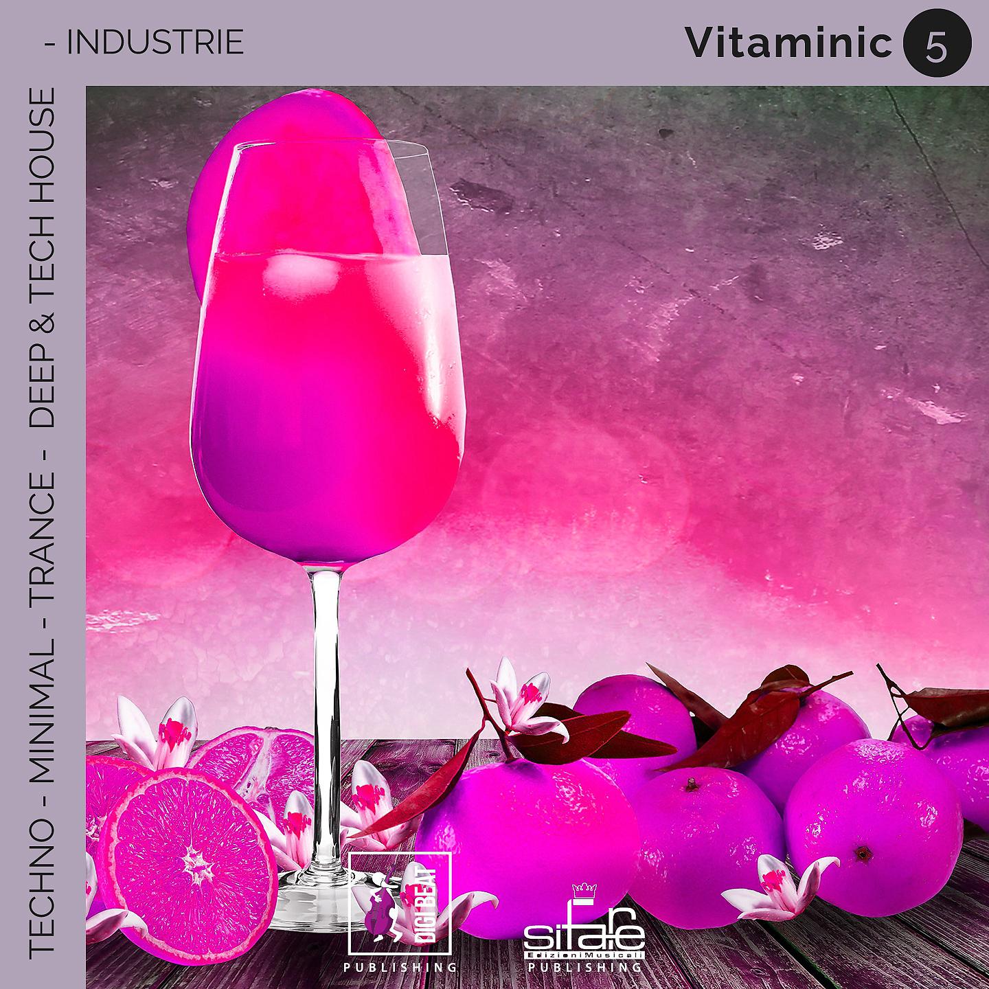 Постер альбома Vitaminic 5