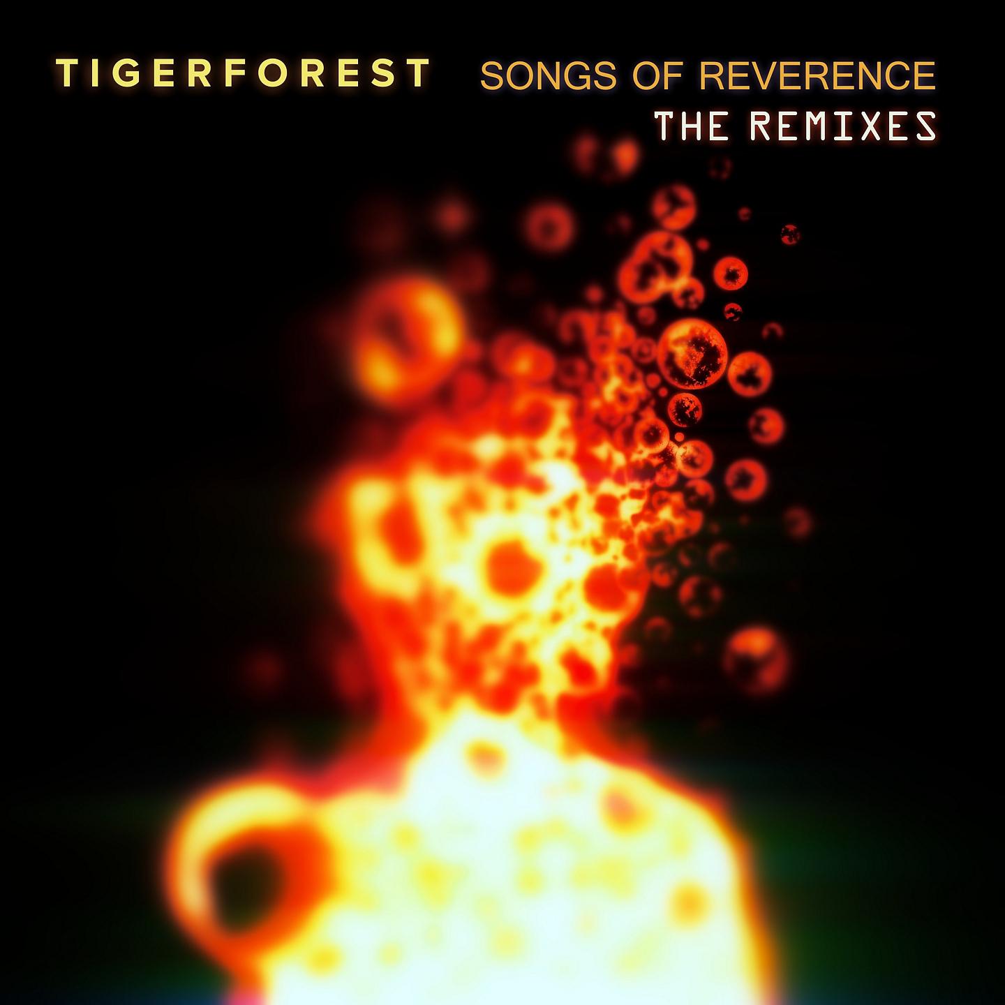 Постер альбома Songs of Reverence (The Remixes)