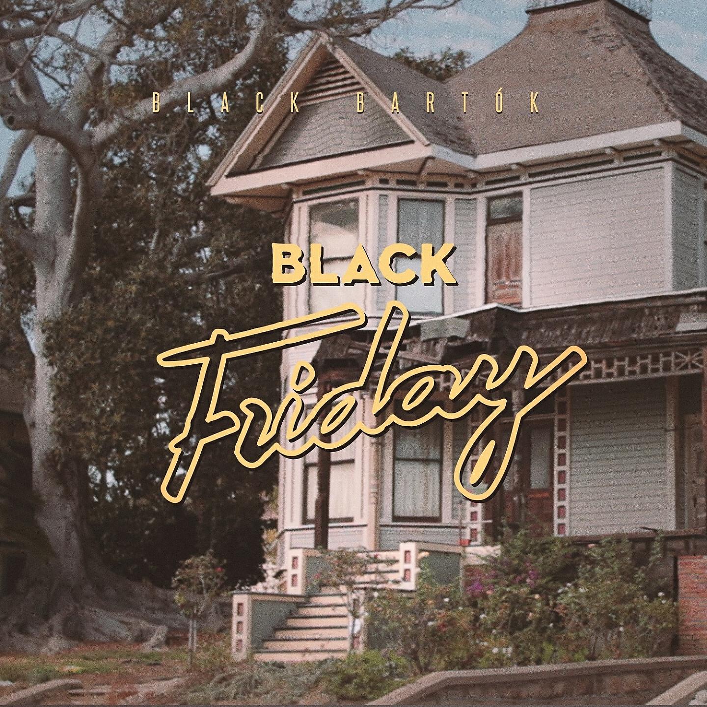 Black Bartók - Black Friday