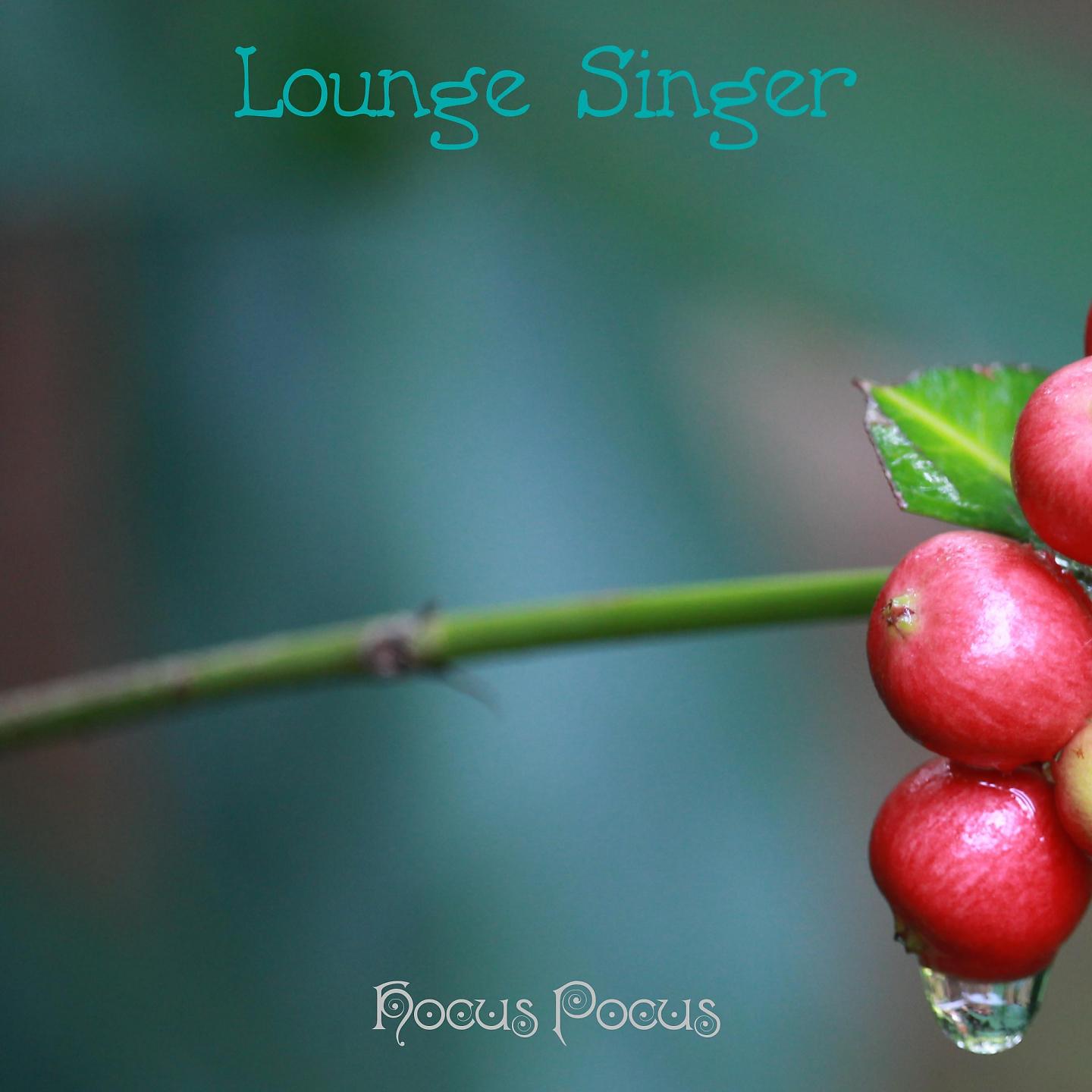 Постер альбома Lounge Singer