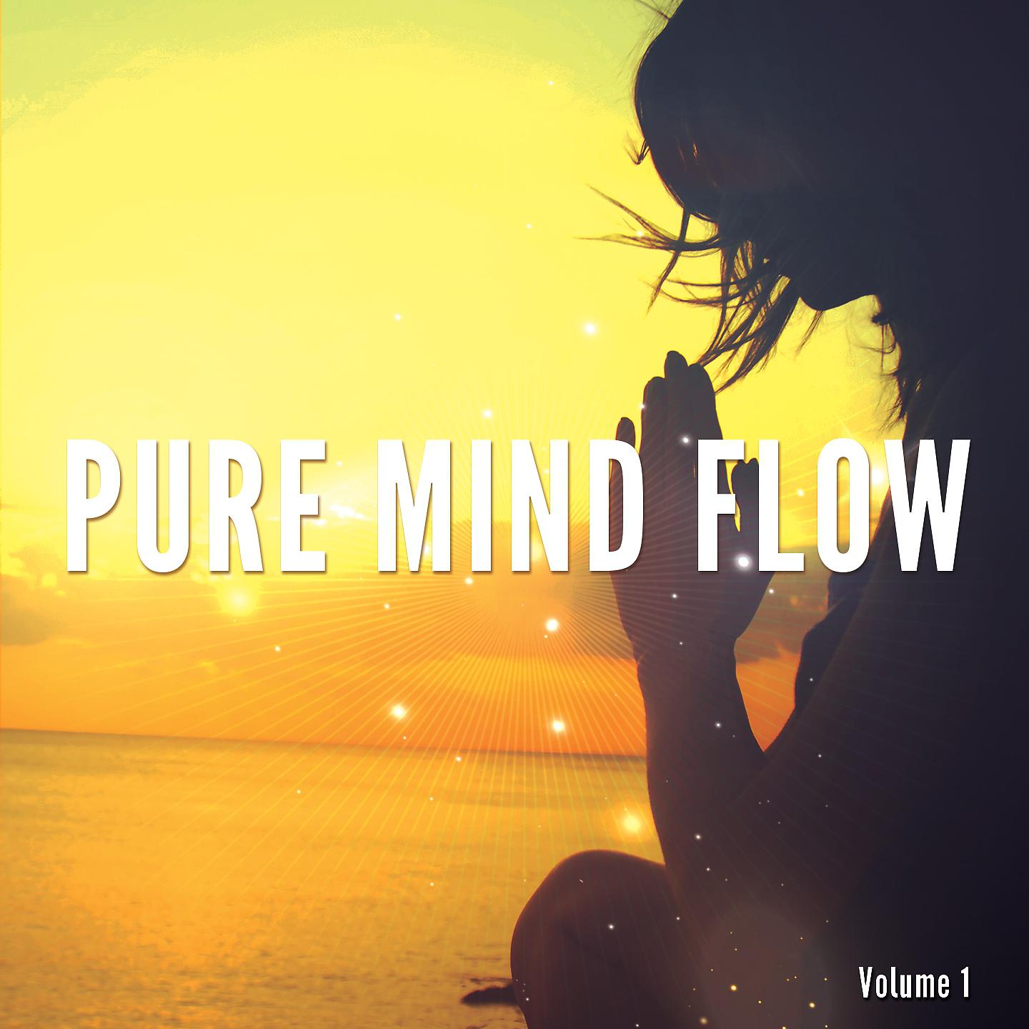 Постер альбома Pure Mind Flow, Vol. 1