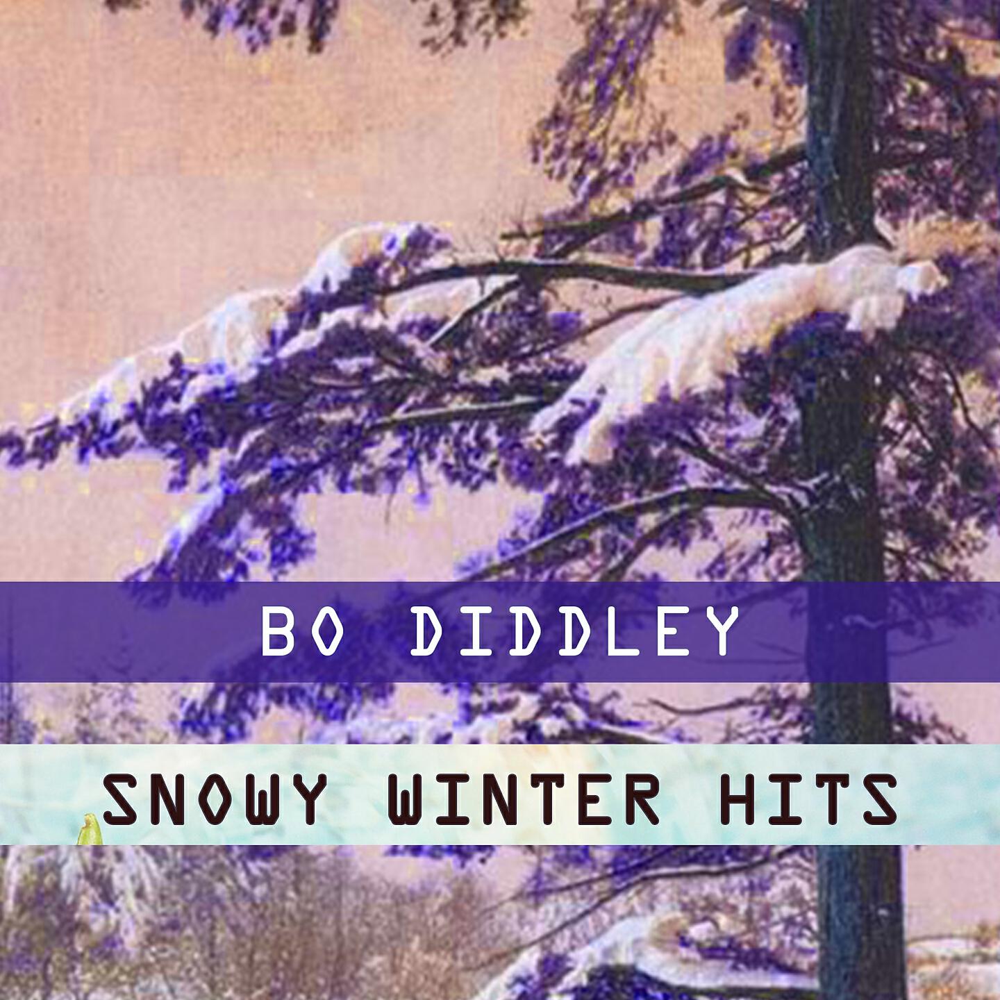Bo Diddley - Wishy Washy