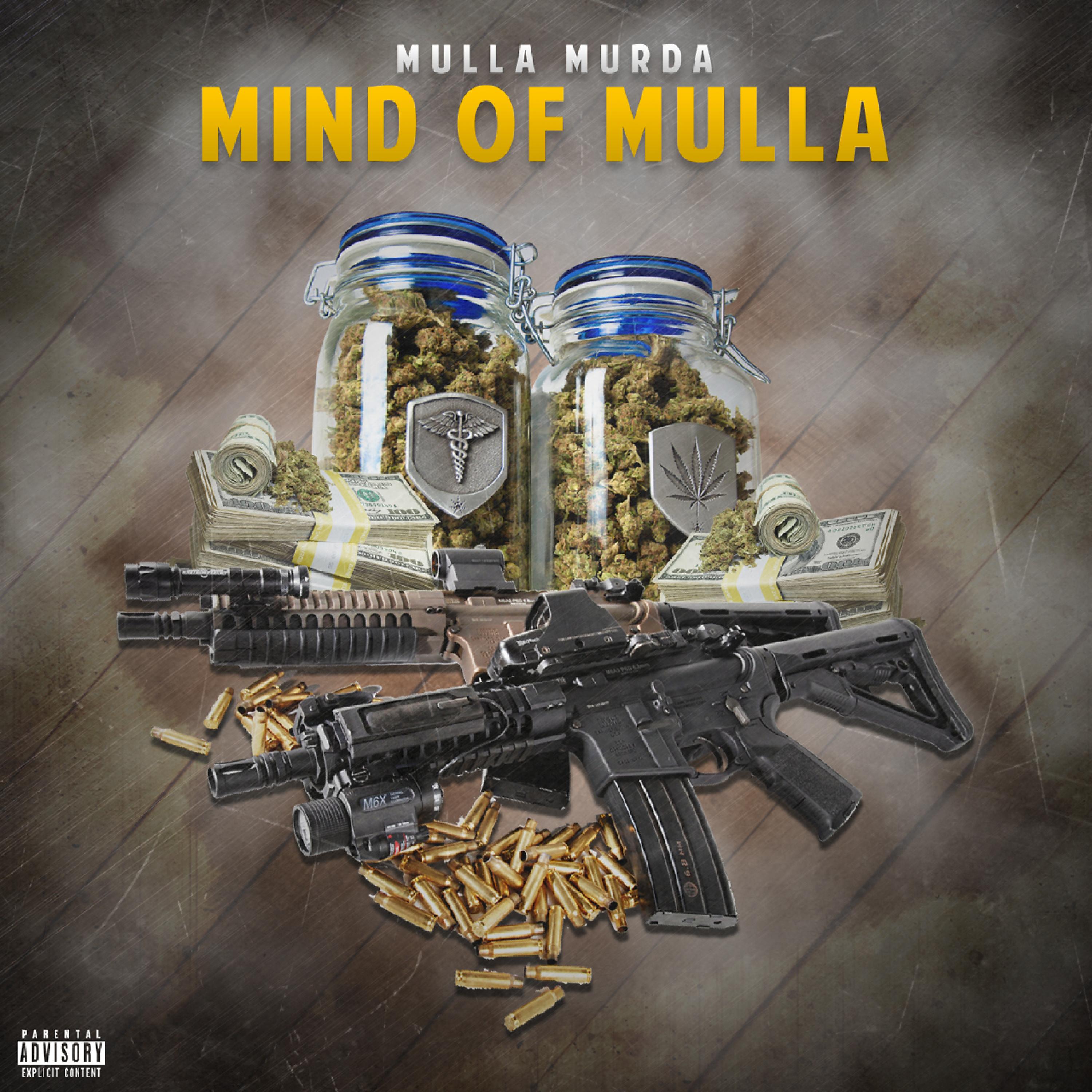 Постер альбома Mind of Mulla