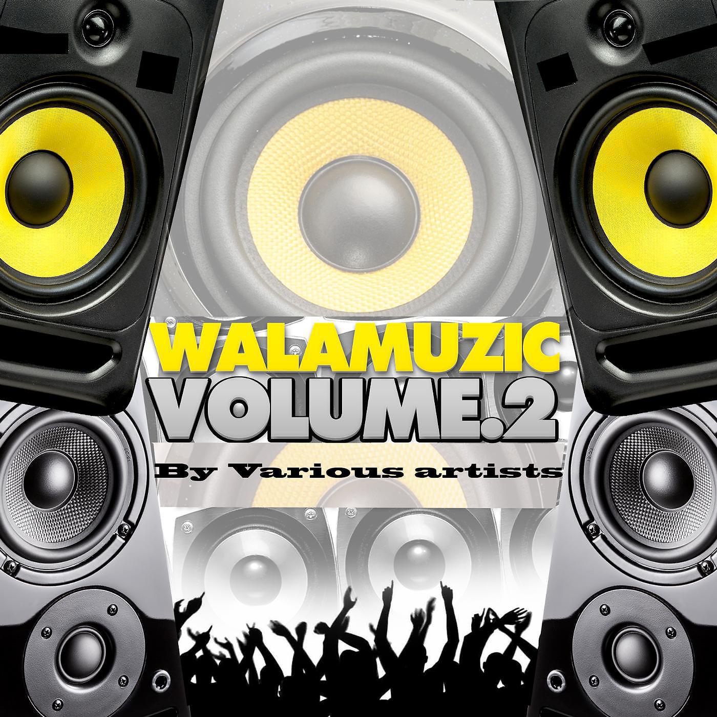 Постер альбома Walamuzic, Vol. 2
