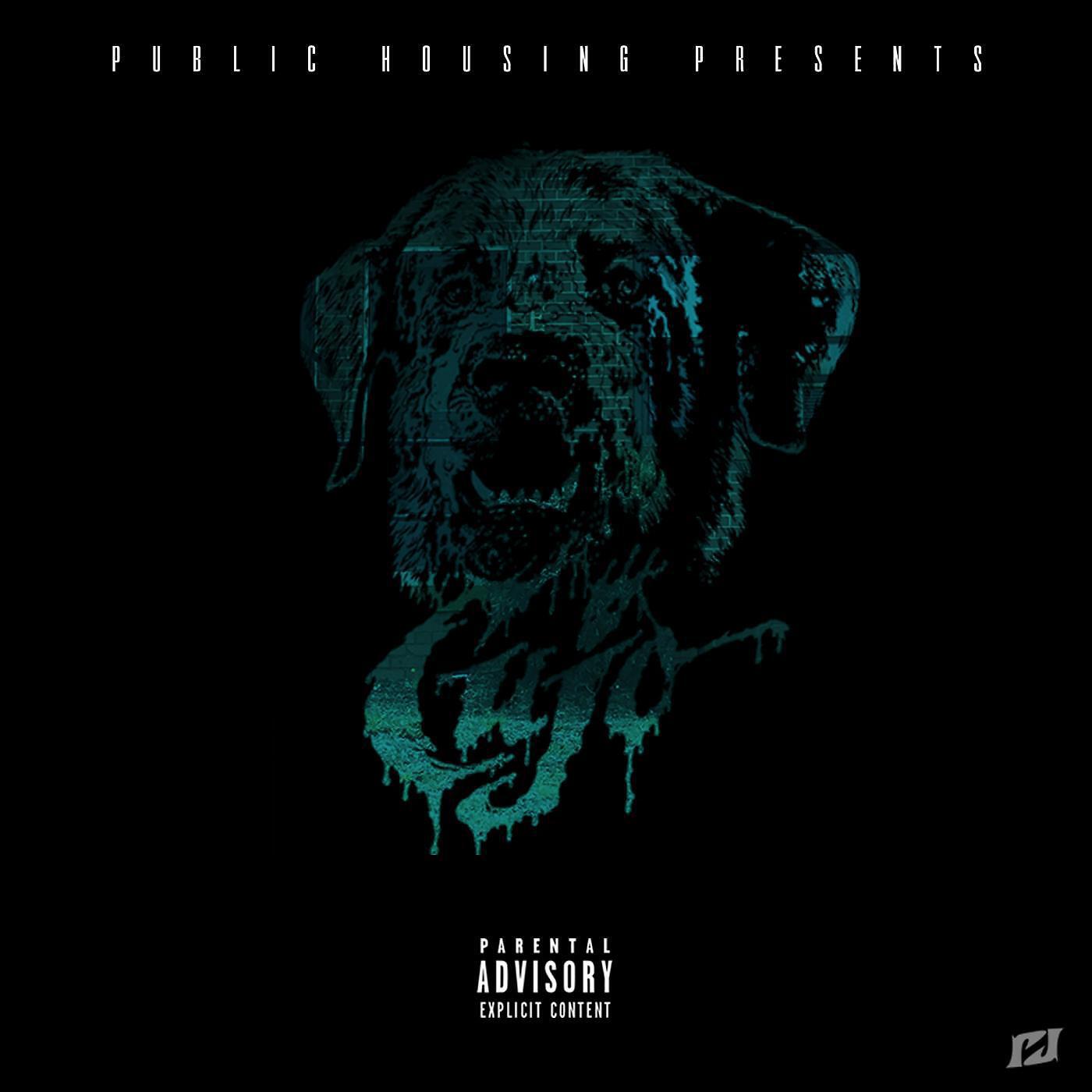 Cujo Bandz - Big Dog (Intro)