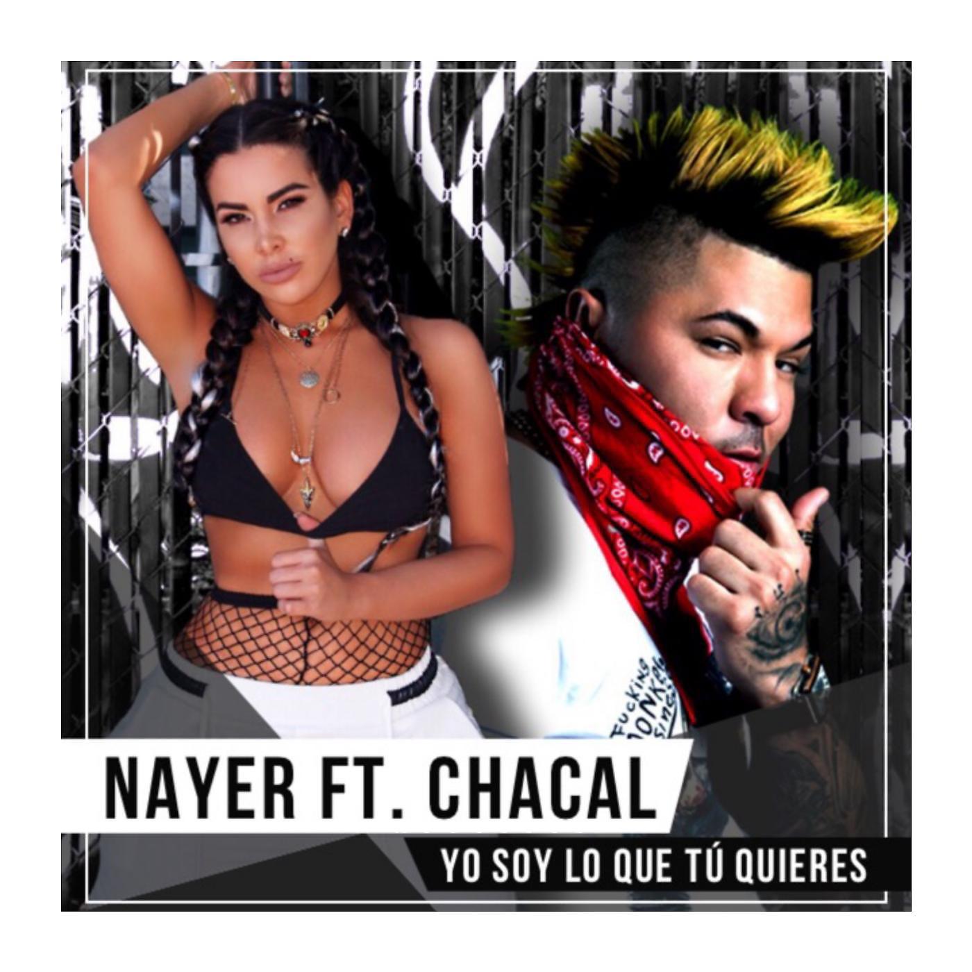 Постер альбома Yo Soy Lo Que Tu Quieres (feat. Chacal)