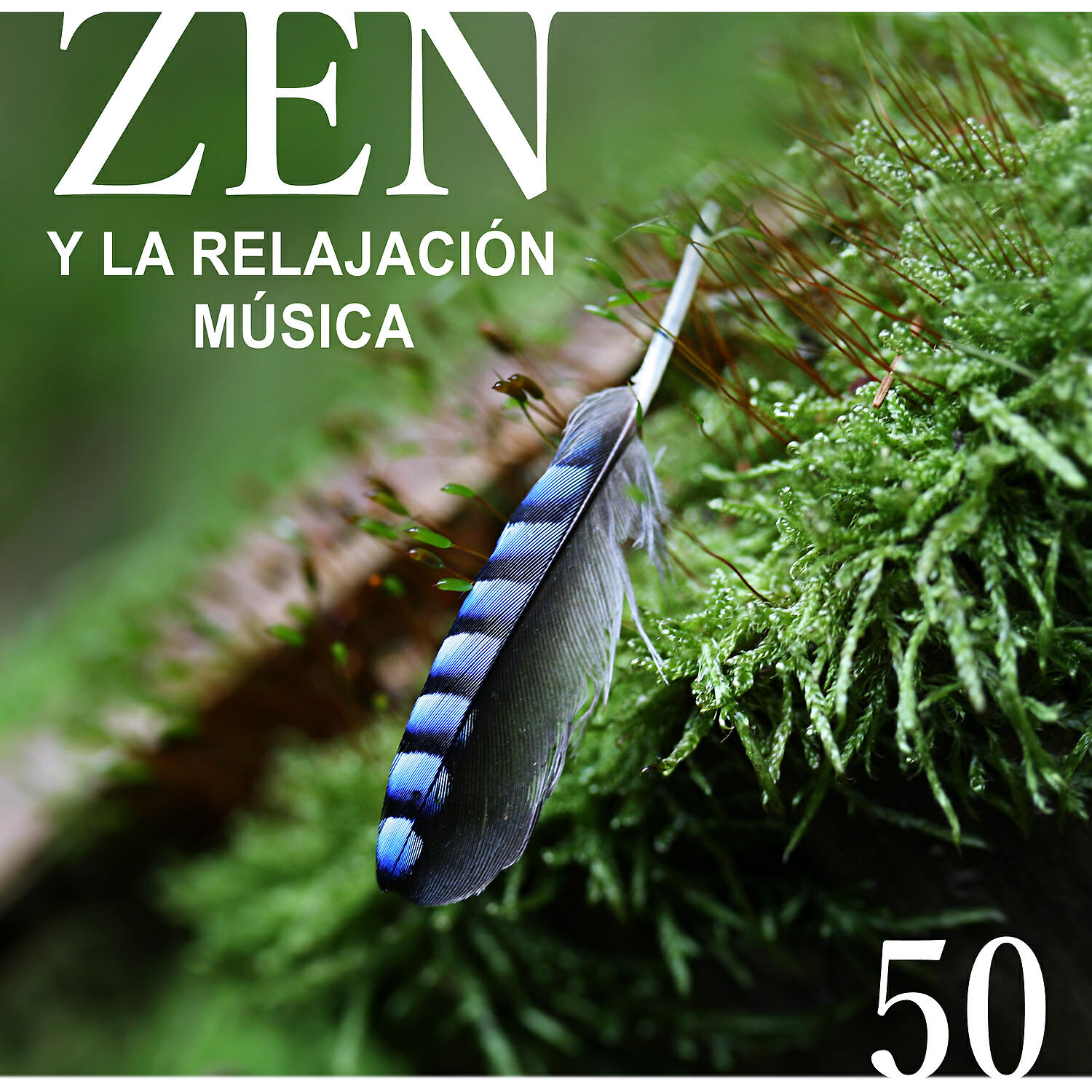 Relajante Academia de Música Zen - Musica Relajante para la Meditación