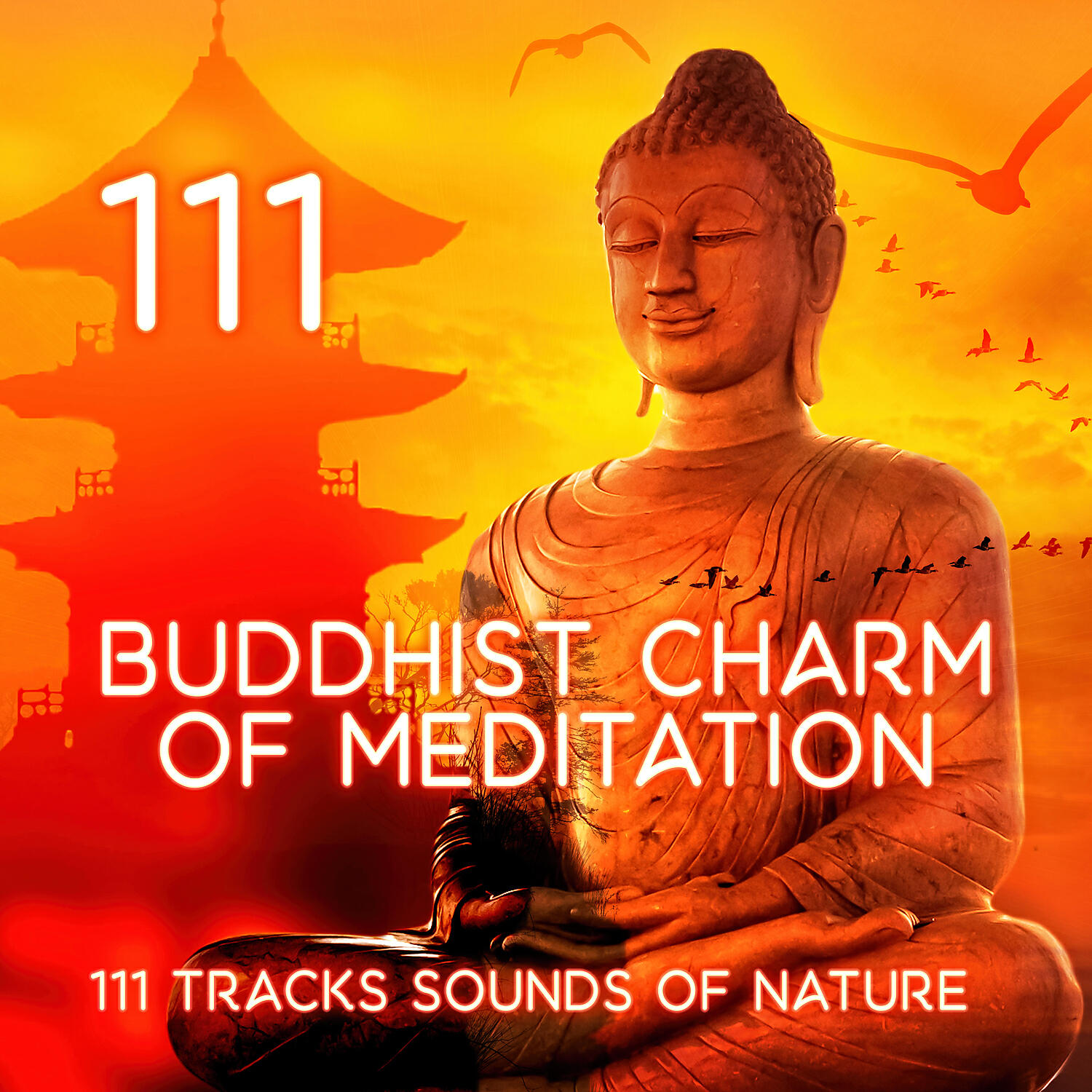 Trouble Sleeping Music Universe - Bio Energy Healing