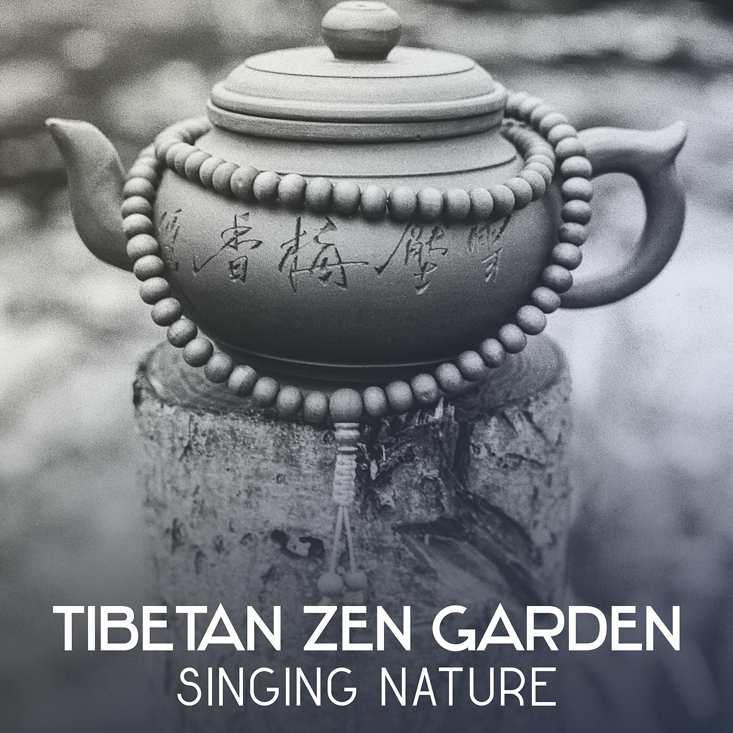 Постер альбома Tibetan Zen Garden: Singing Nature – 50 Tracks for Bliss Moments and Mindfulness Meditation, Music for Yoga Classic and Better Sleep