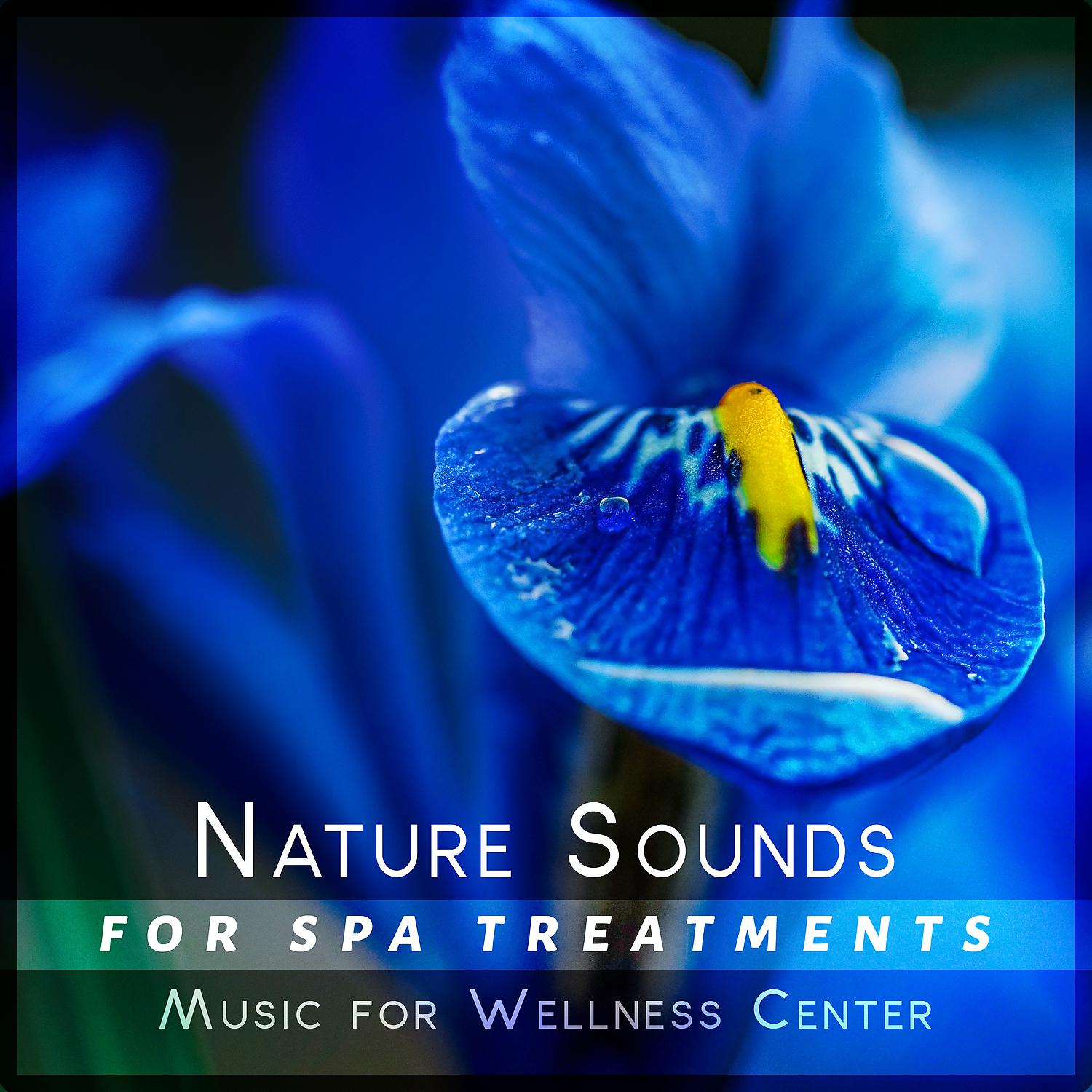 Постер альбома Nature Sounds for Spa Treatments: Music for Wellness Center, Soothing Ambient Therapy for Relaxation & Massage