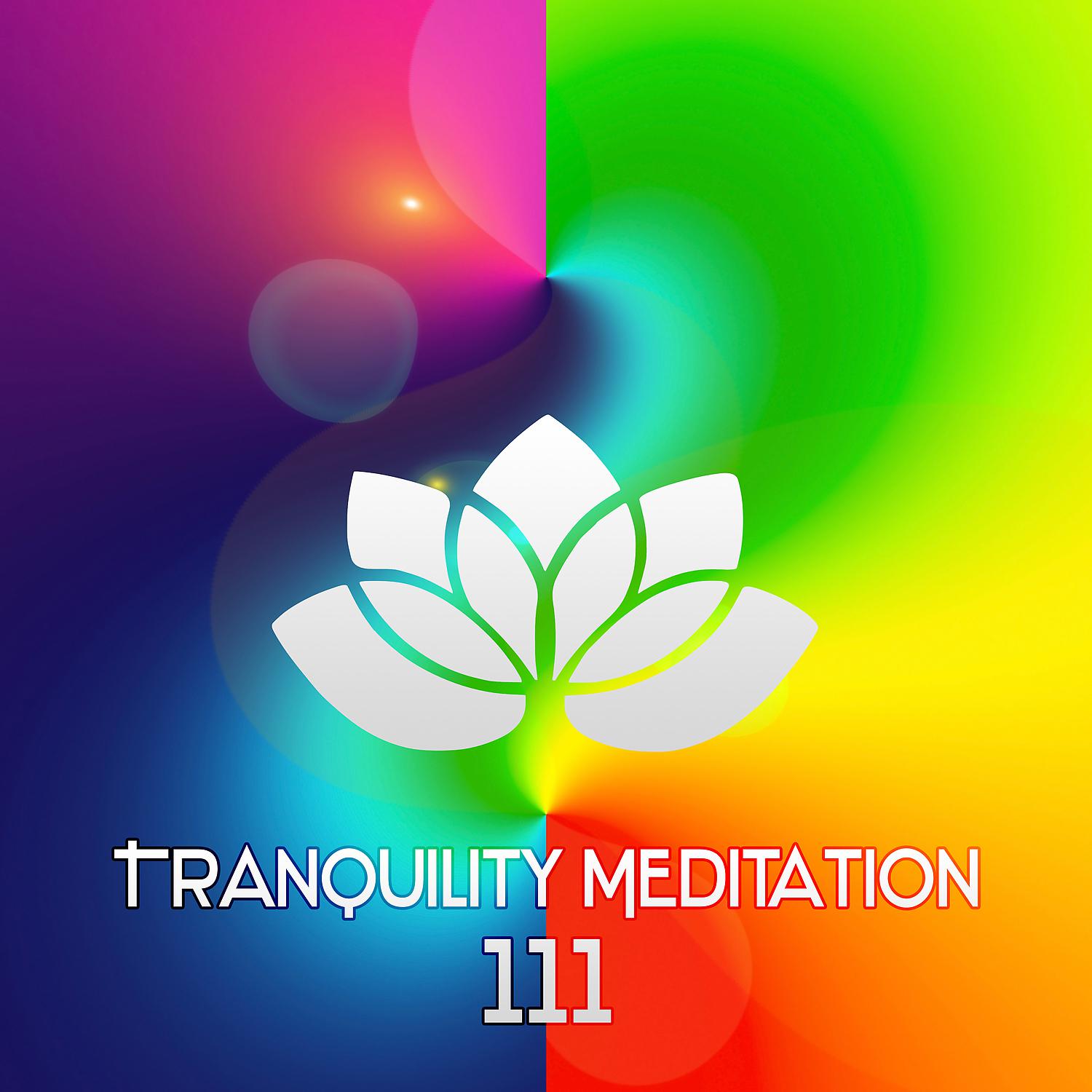 Постер альбома Tranquility Meditation 111: Nature Sounds, Spiritual Awakening, Relaxing Music, Zen, Healing Music, Mental Concentration