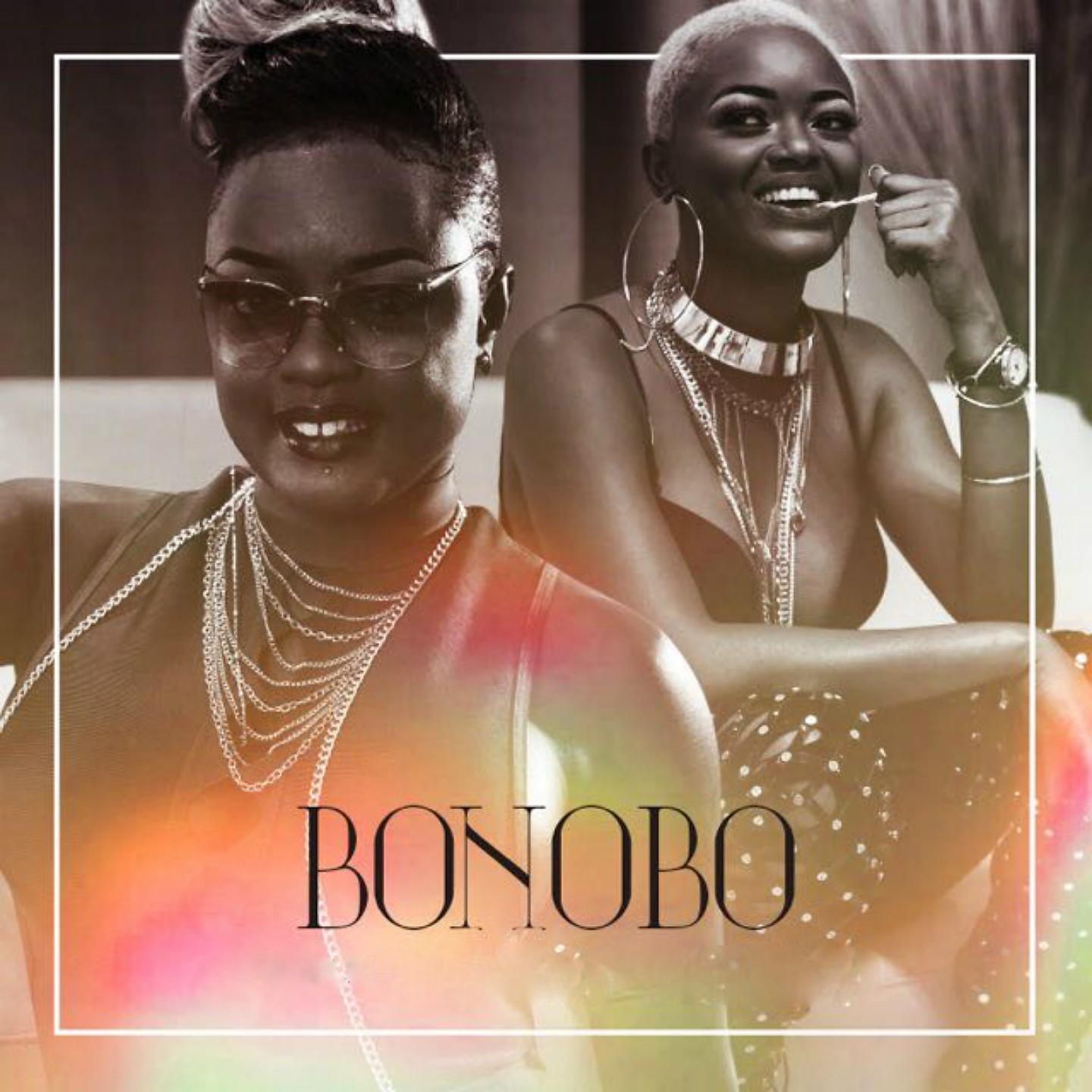Постер альбома Bonobo