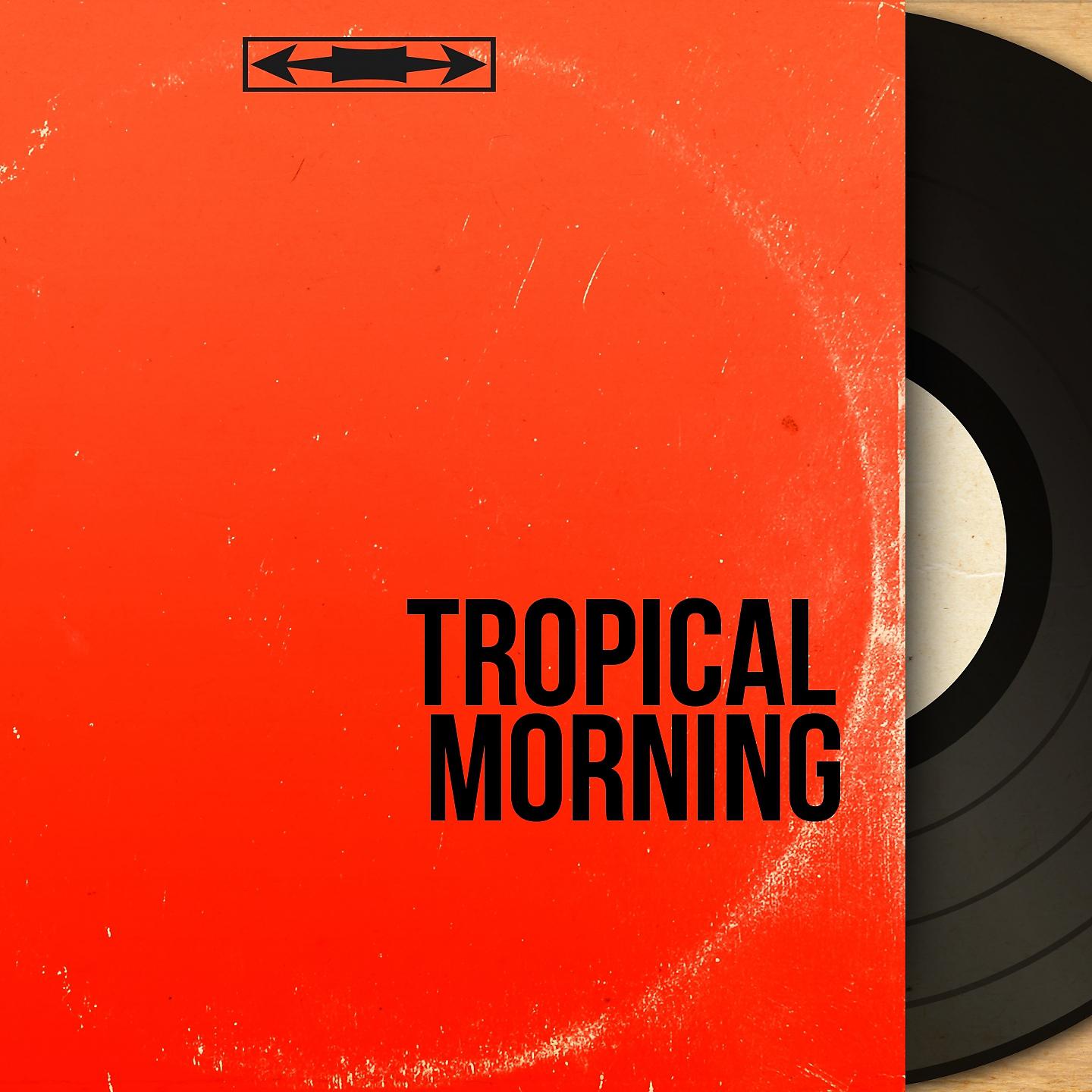 Постер альбома Tropical Morning