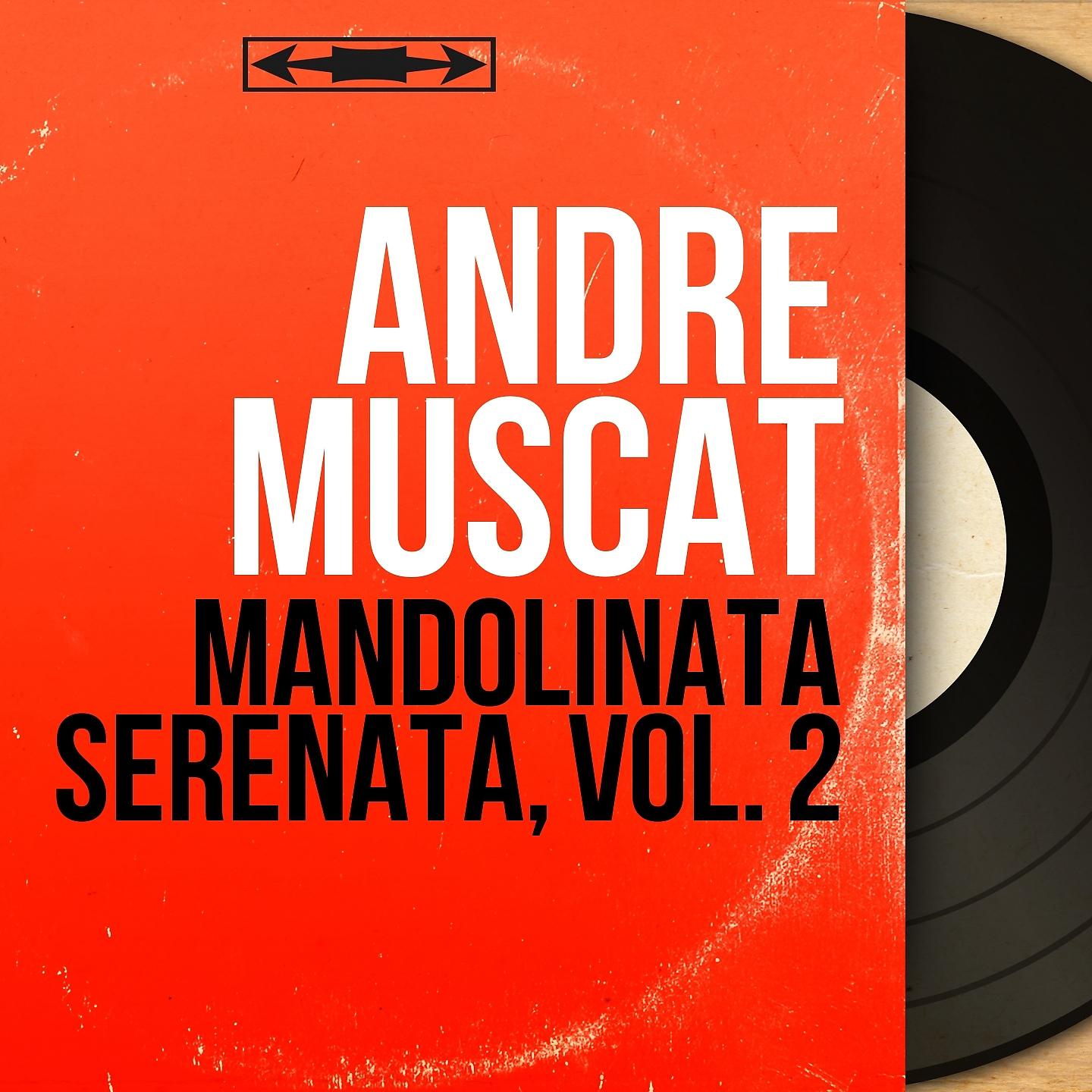 Постер альбома Mandolinata serenata, vol. 2