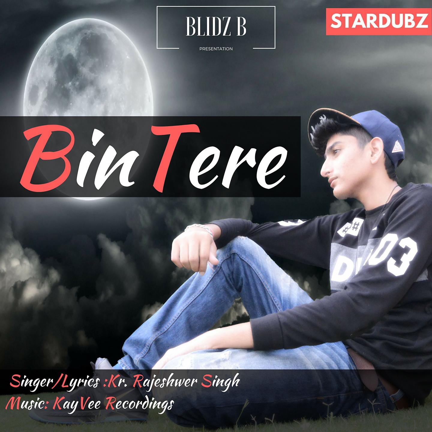 Постер альбома Bin Tere