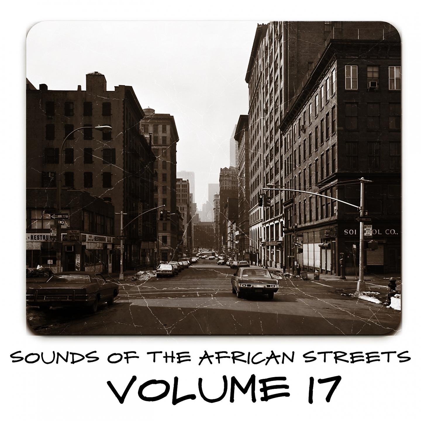 Постер альбома Sounds of the African Streets, Vol. 17