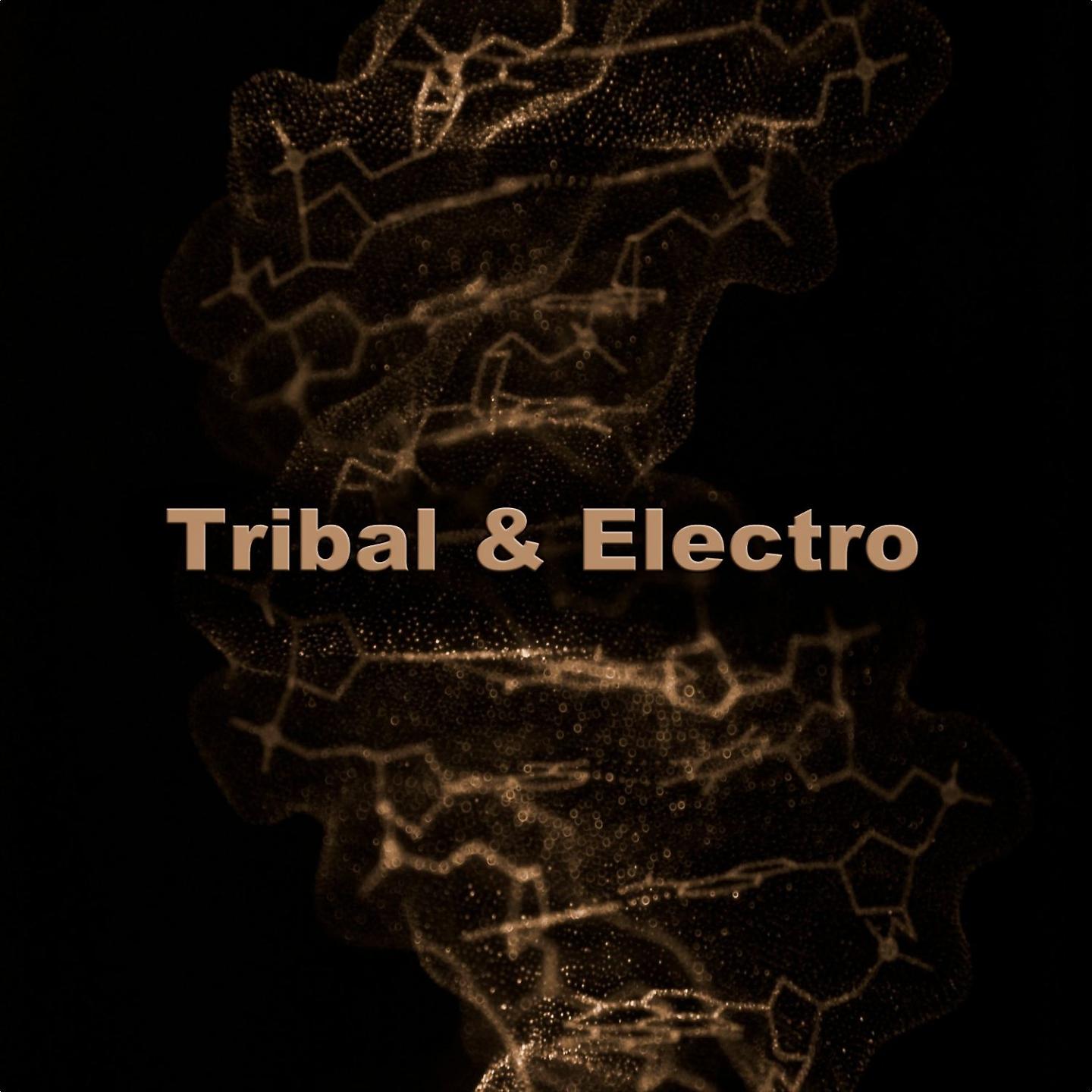 Постер альбома Tribal & Electro - Dj Tracks
