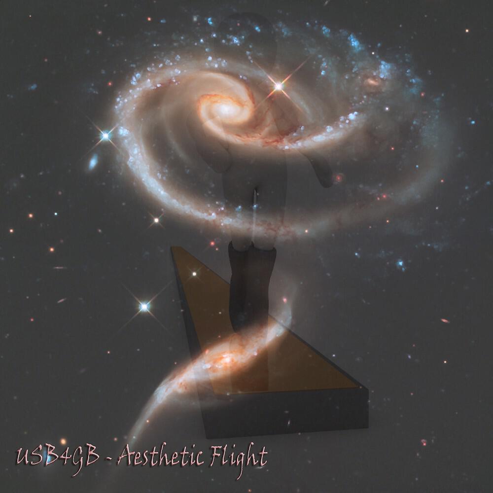 USB4GB - Aesthetic Flight